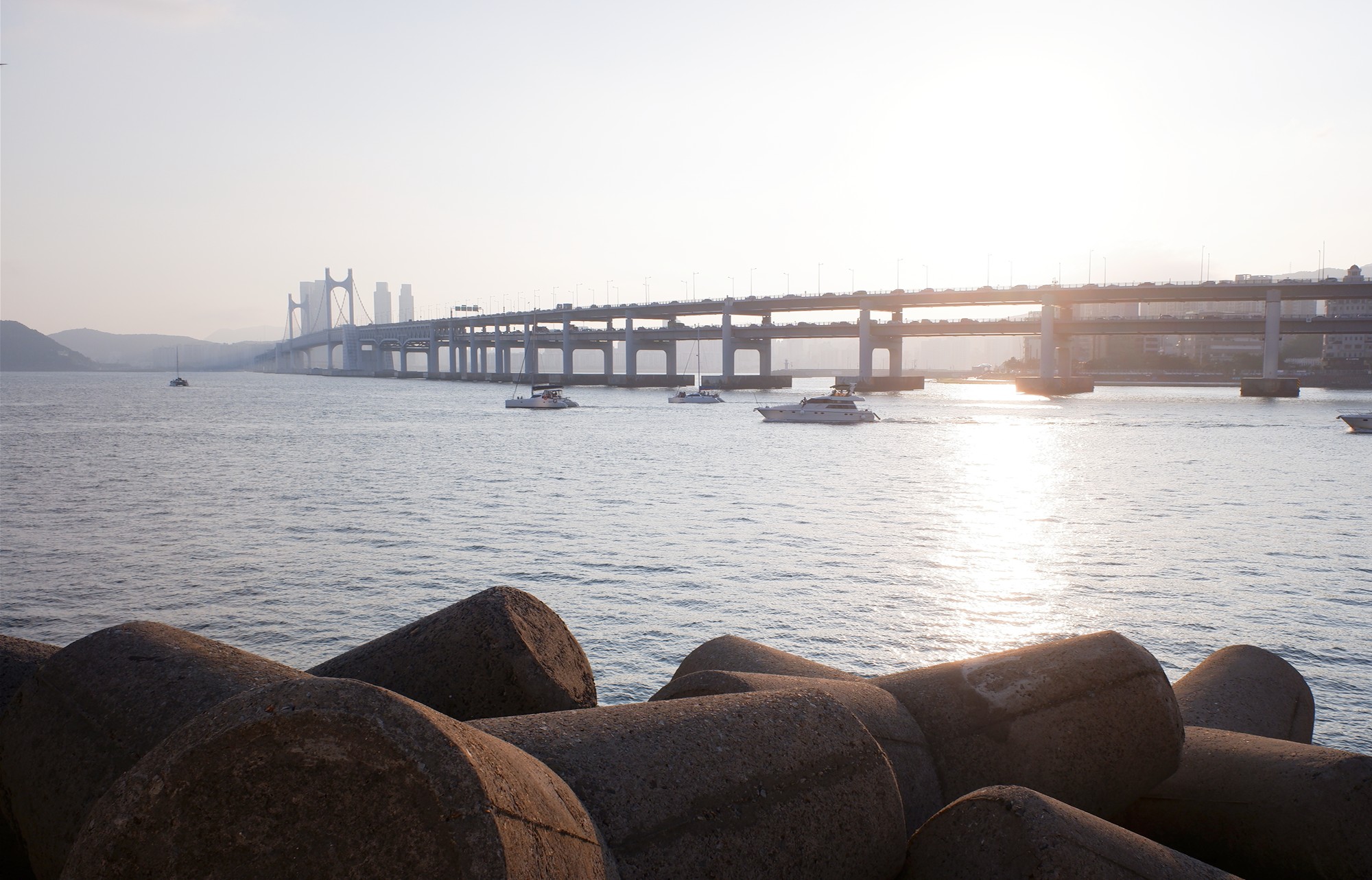 Busan 17 (7)