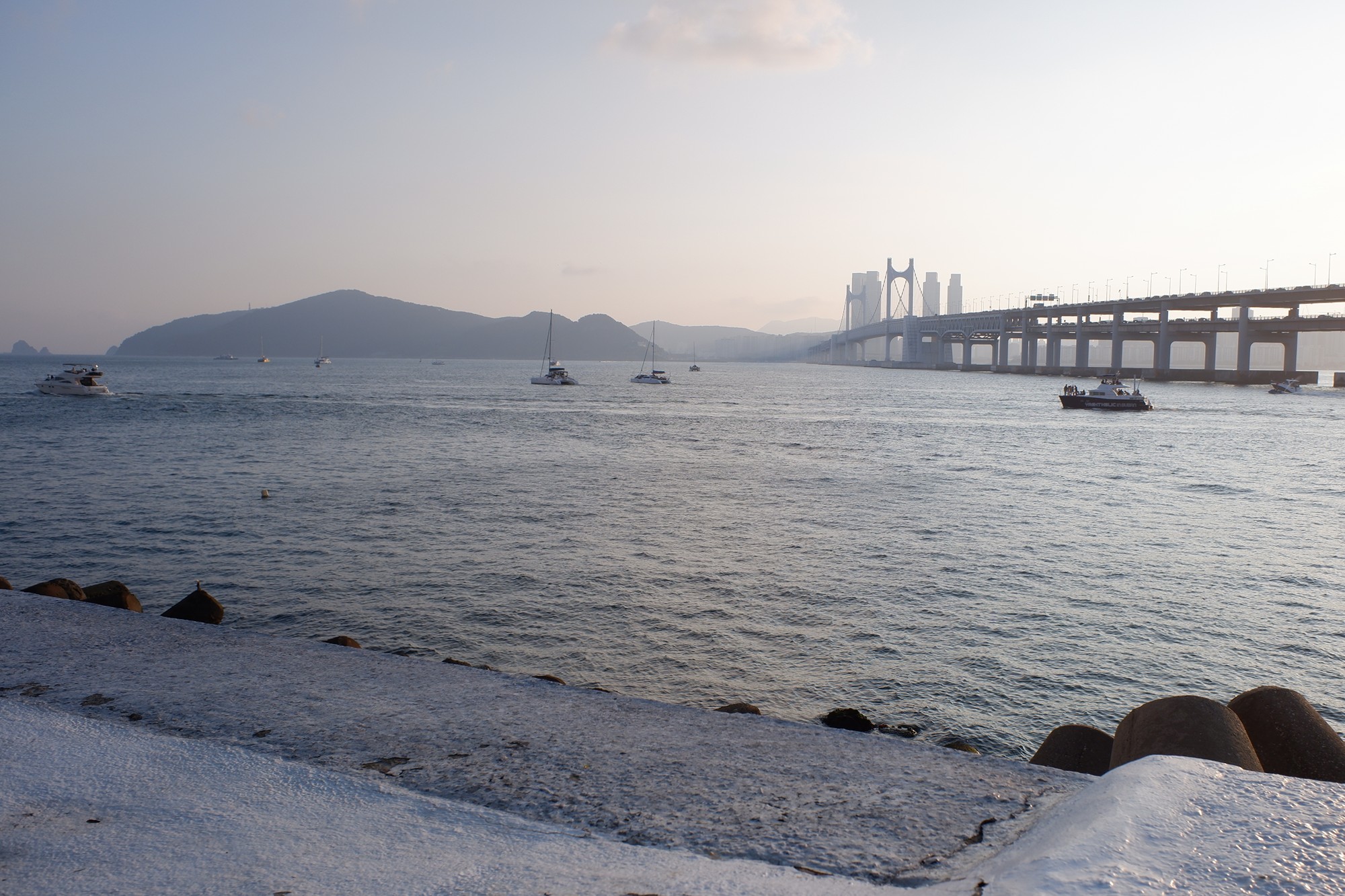 Busan 17 (9)