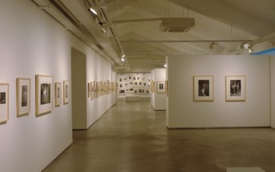 Busan Go Eun Museum of Photography and Lotte Department Store, South Korea