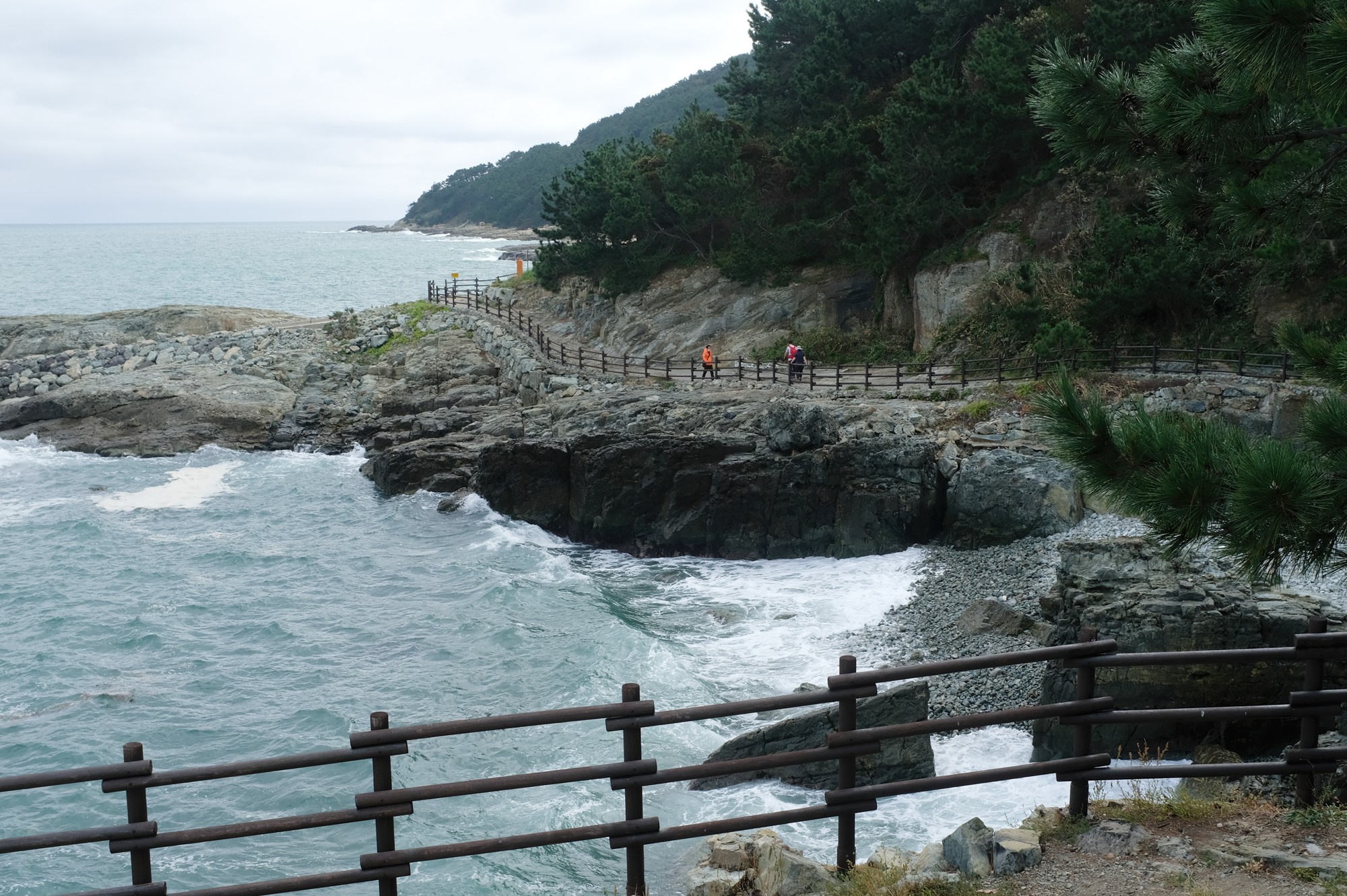 Busan 19 (11)