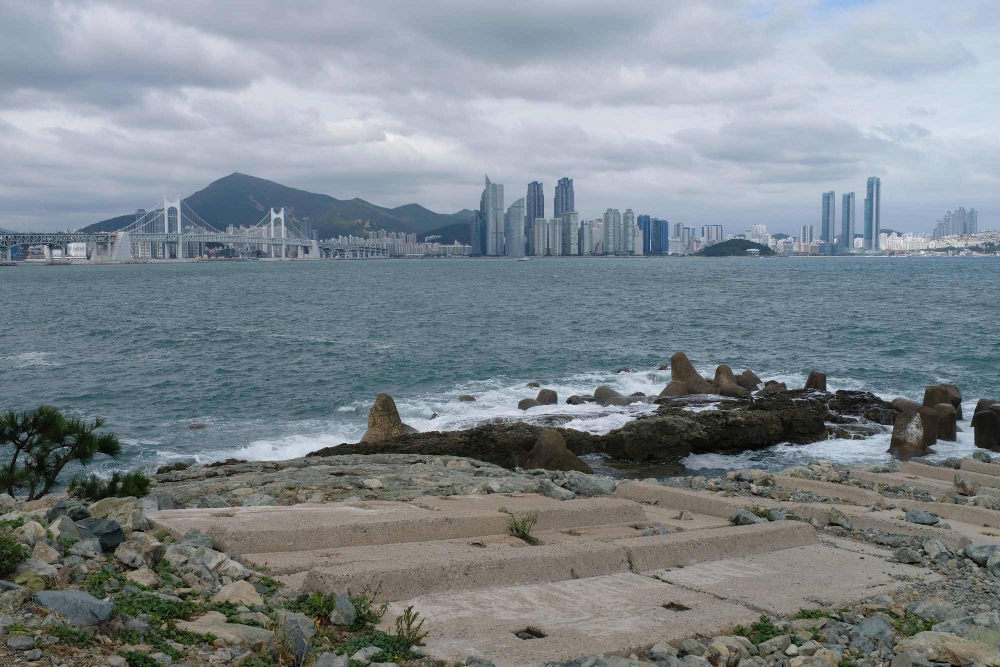 Busan 19 (12)