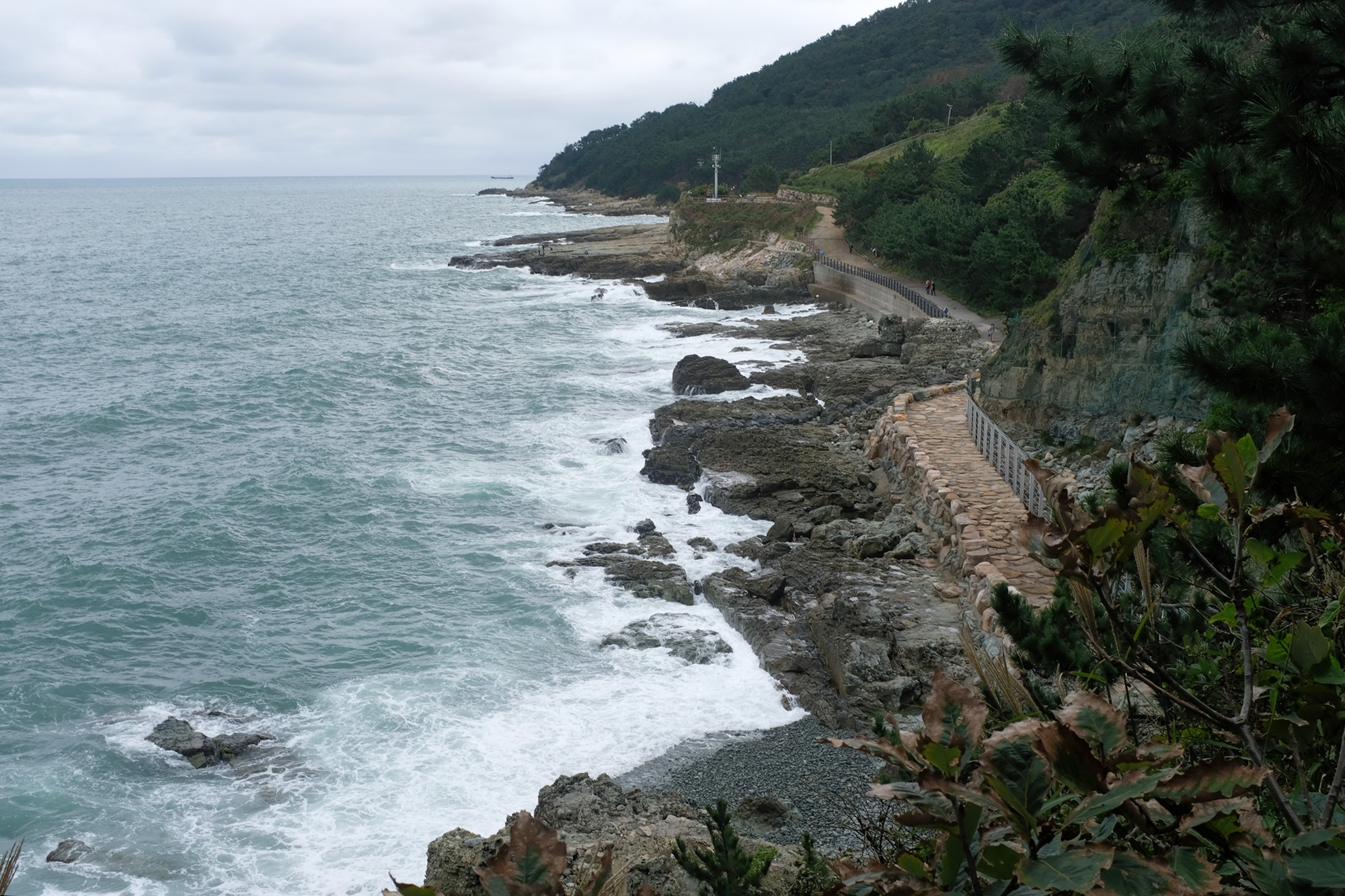Busan 19 (13)