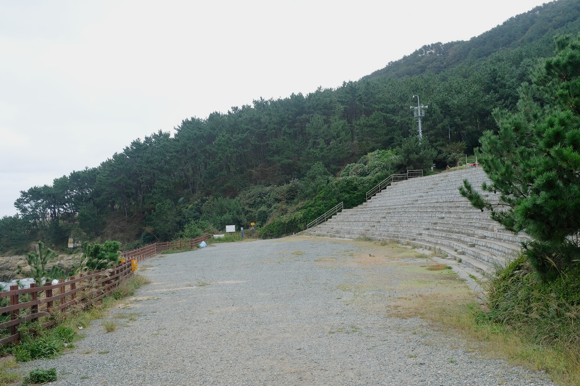 Busan 19 (14)