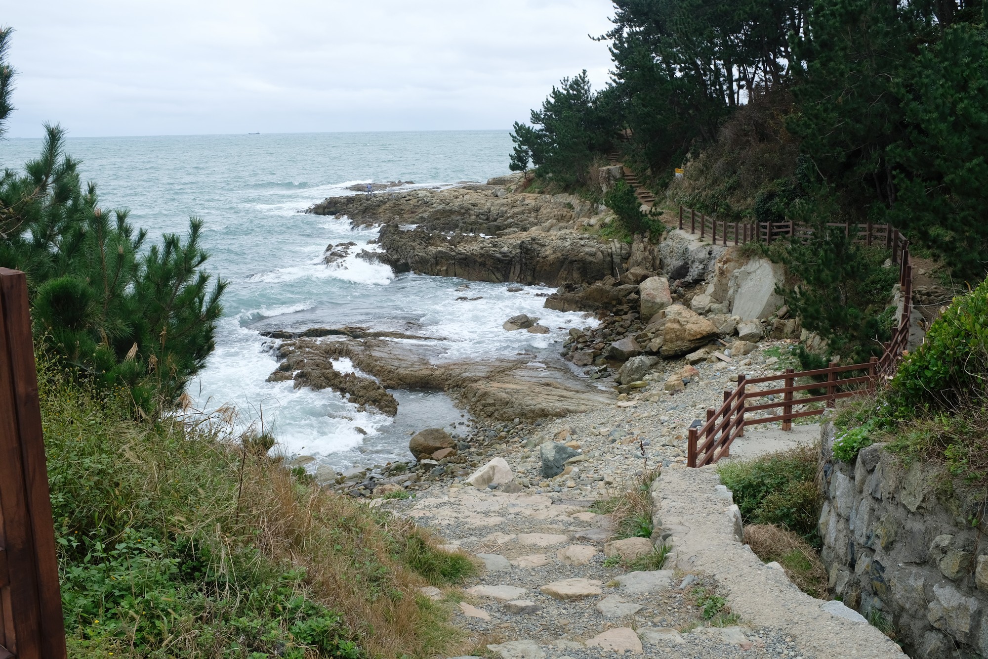Busan 19 (15)