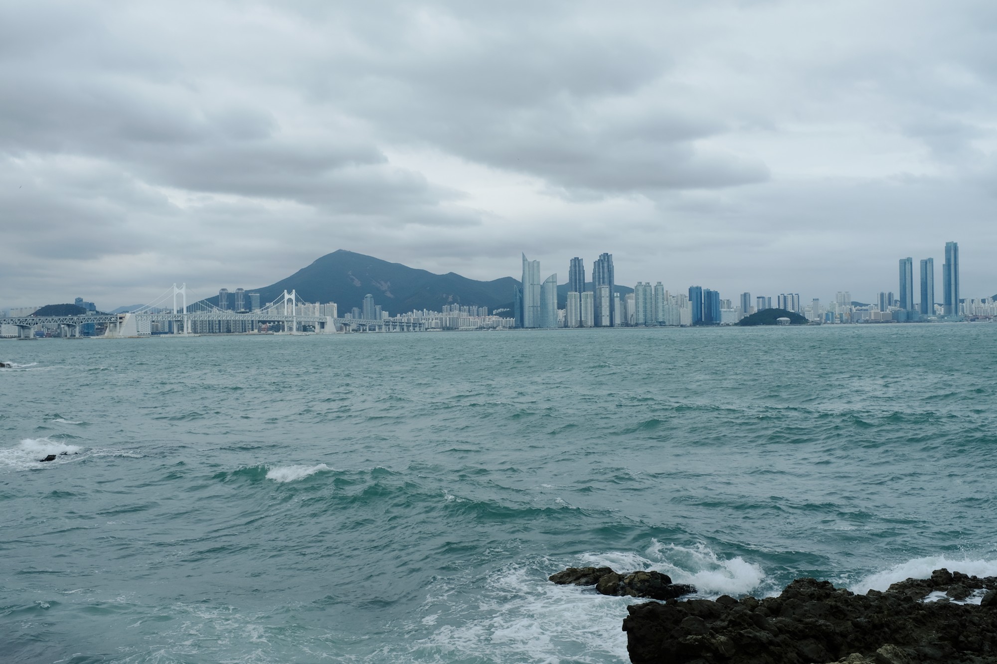 Busan 19 (16)