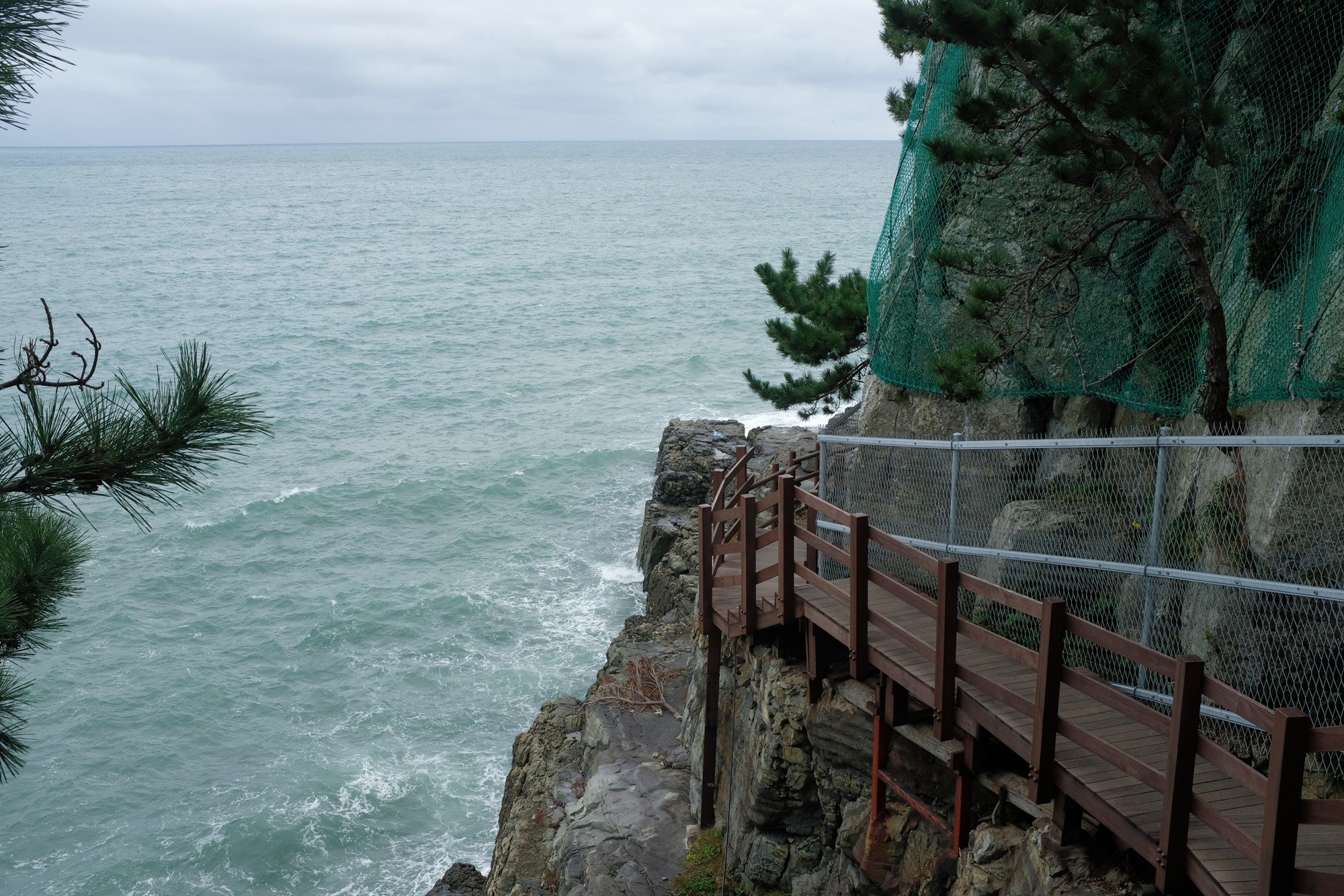 Busan 19 (22)