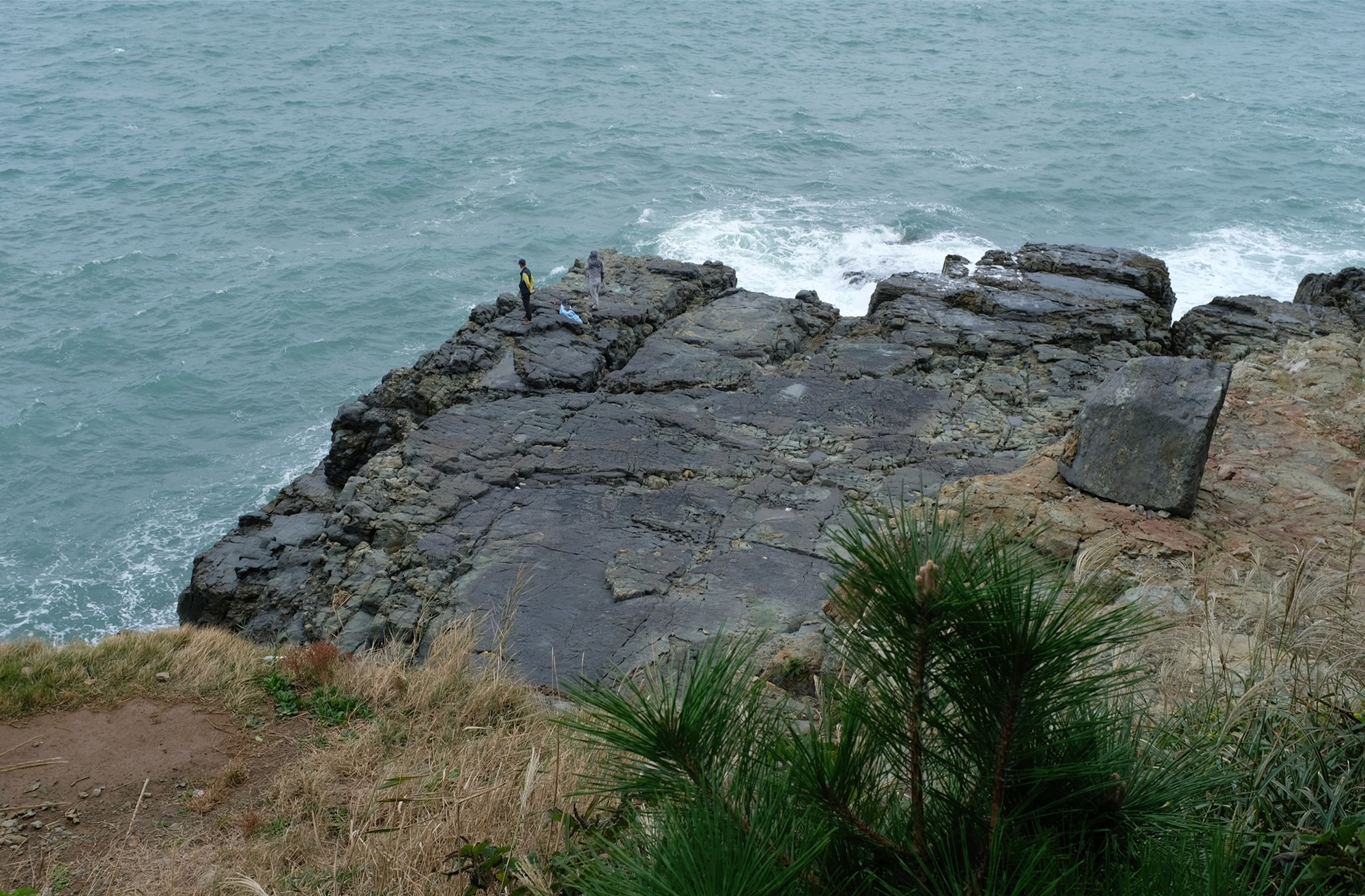Busan 19 (24)