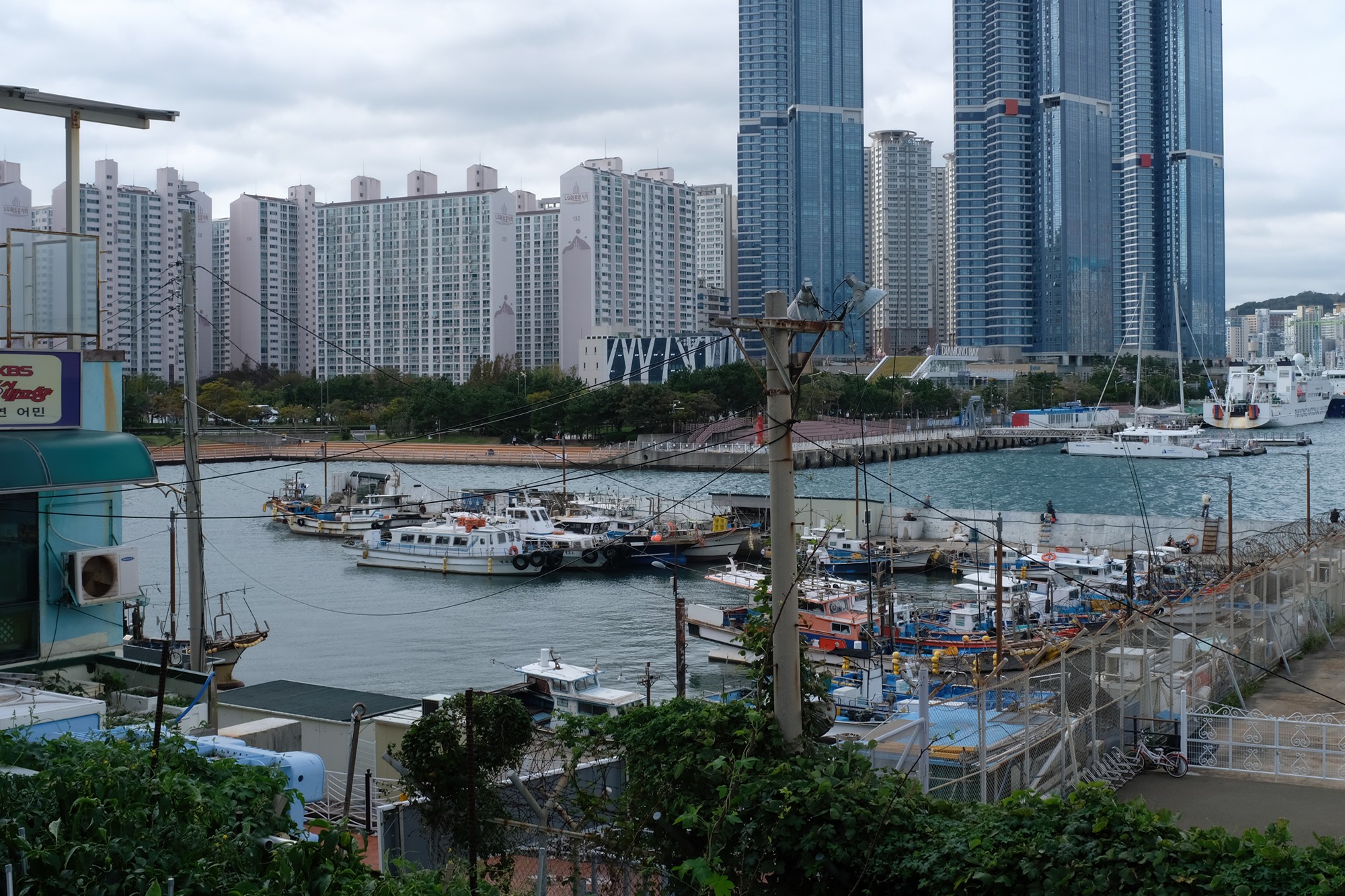 Busan 19 (3)