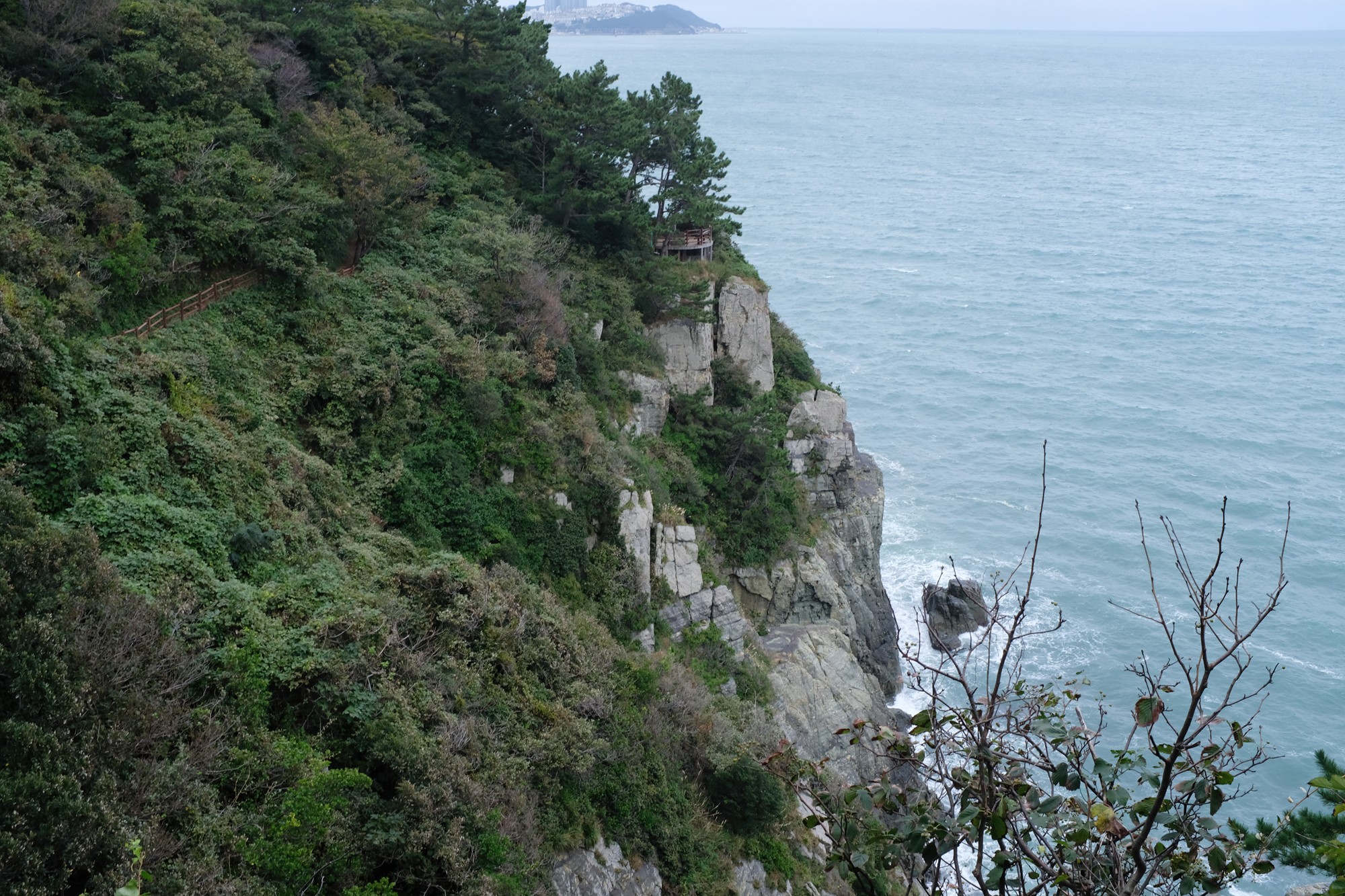 Busan 19 (30)