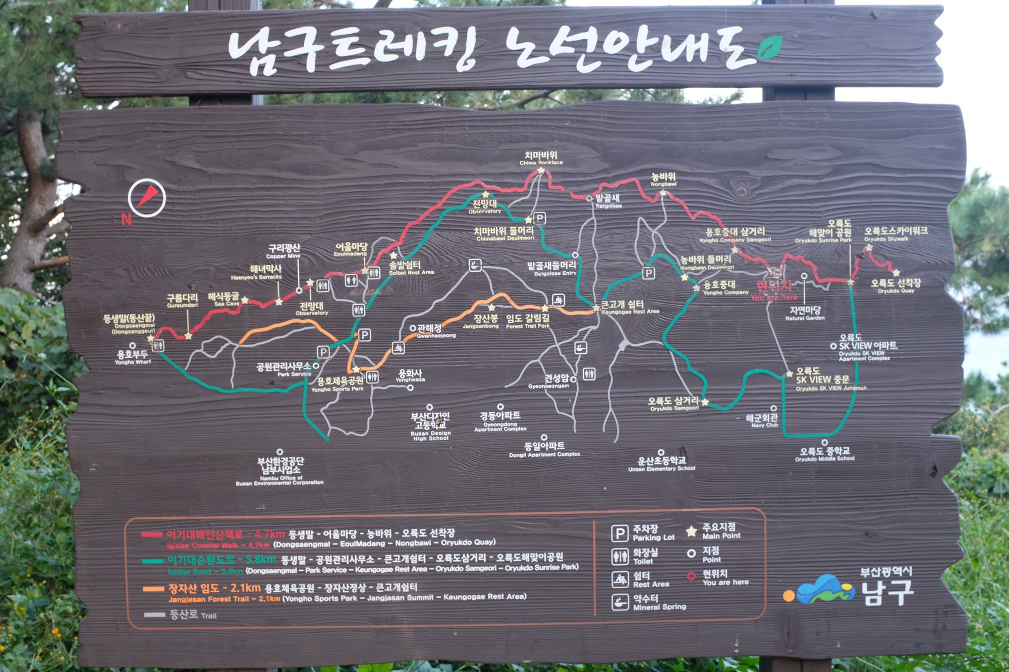 Busan 19 (32)