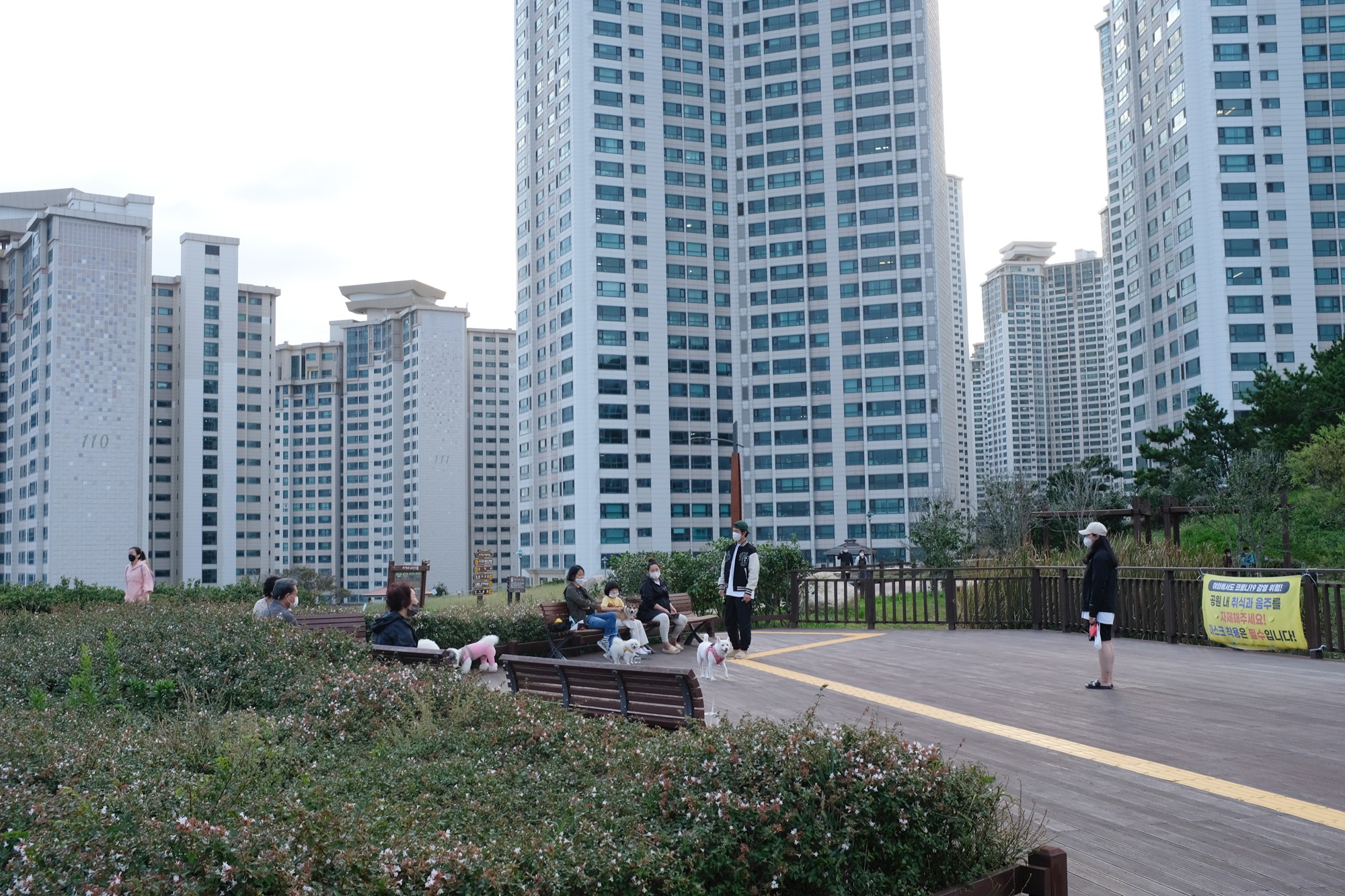 Busan 19 (37)
