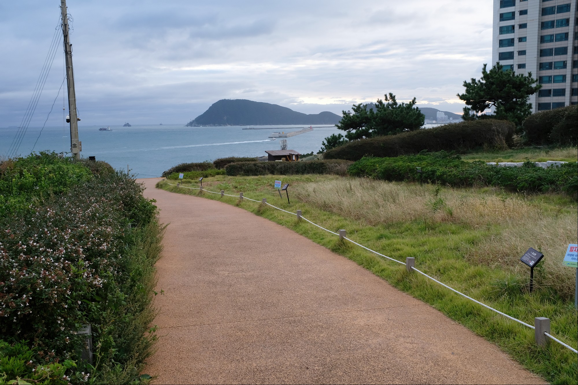 Busan 19 (39)