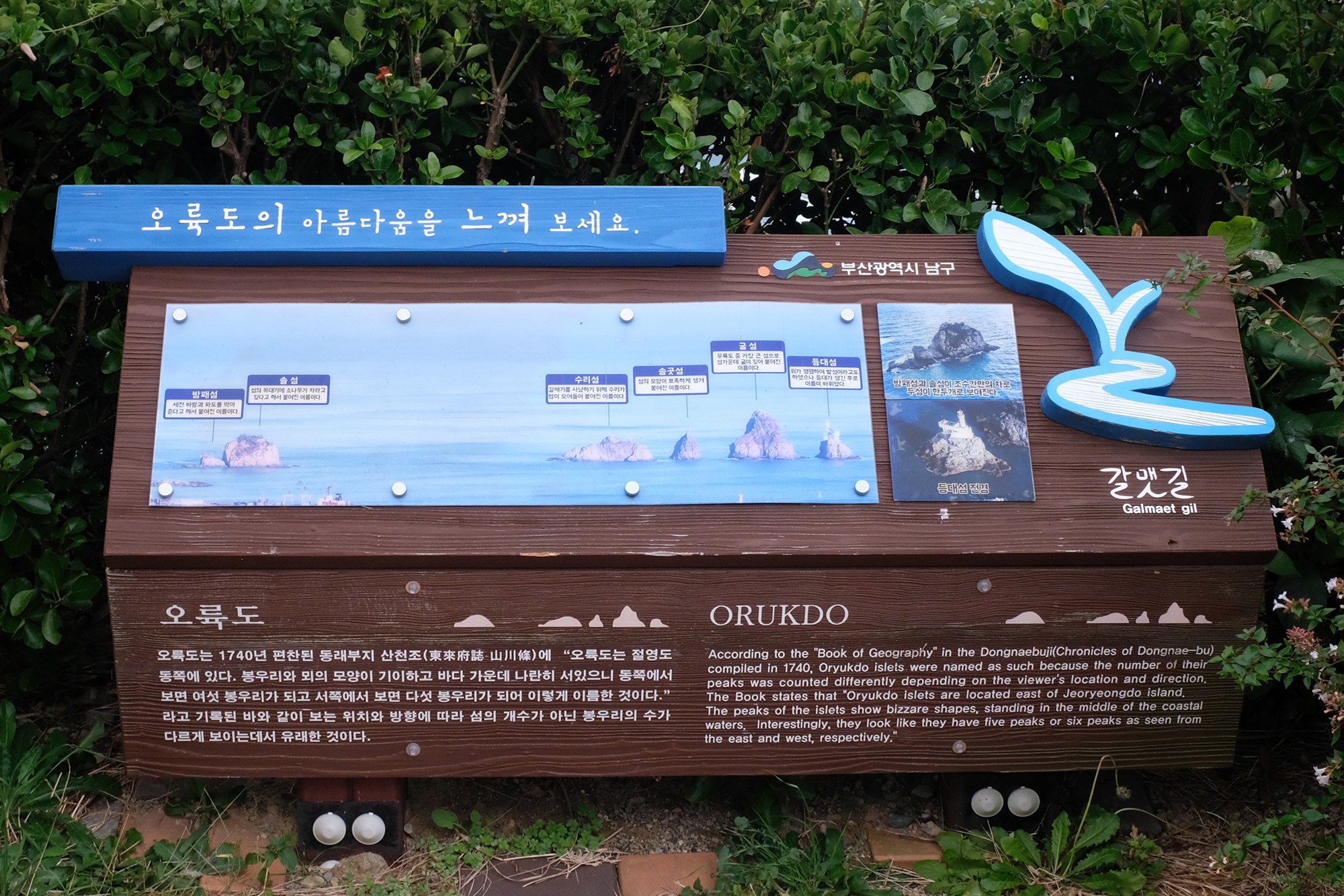 Busan 19 (40)