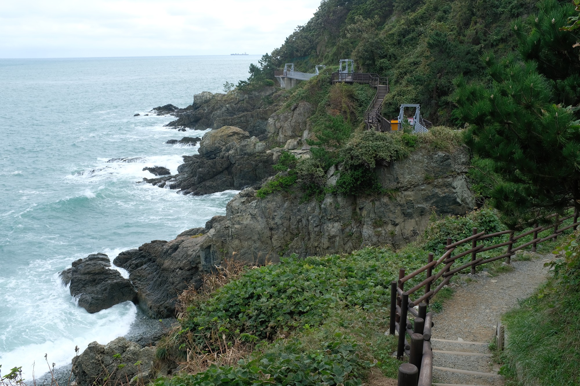 Busan 19 (6)