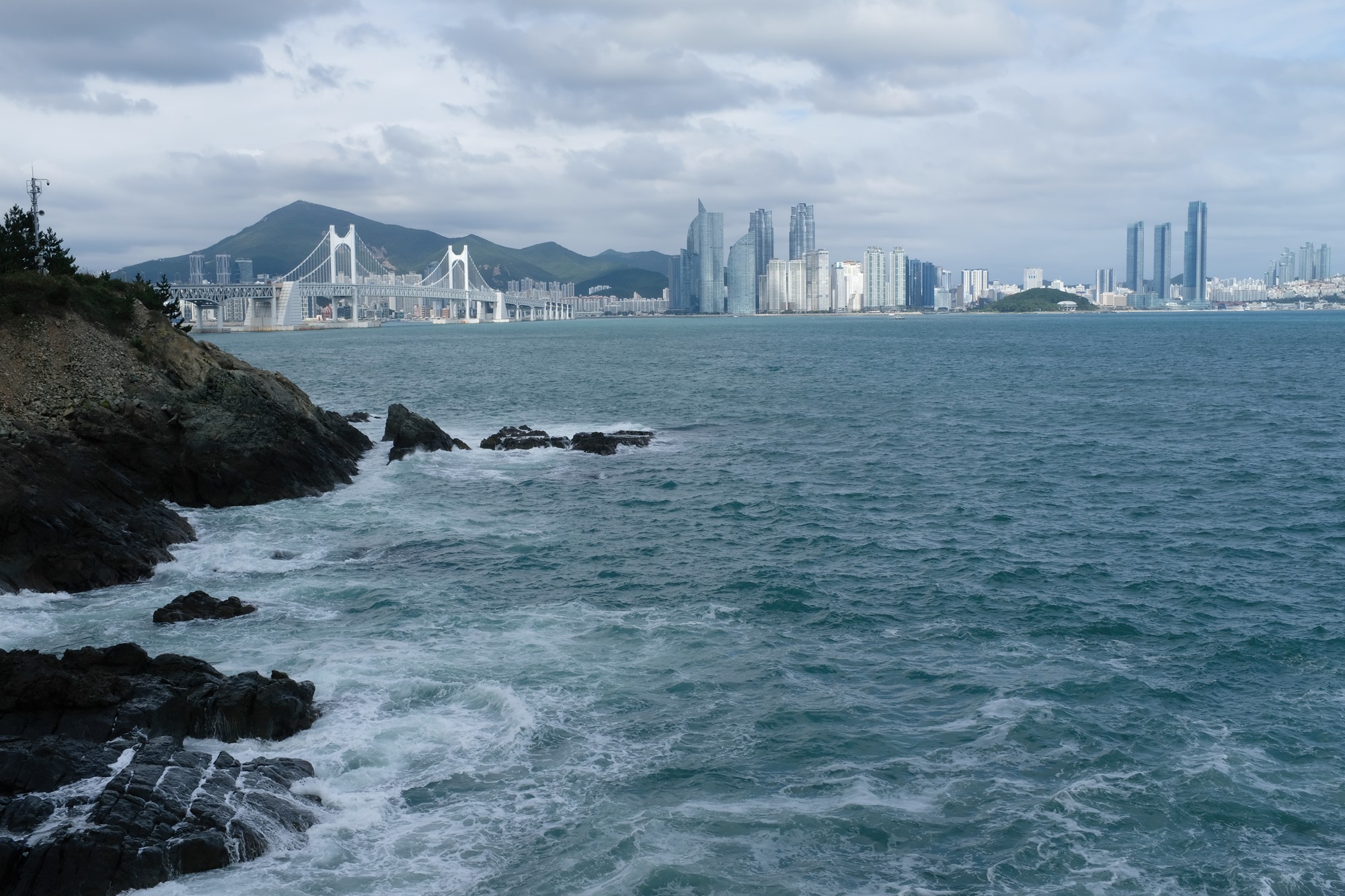 Busan 19 (8)