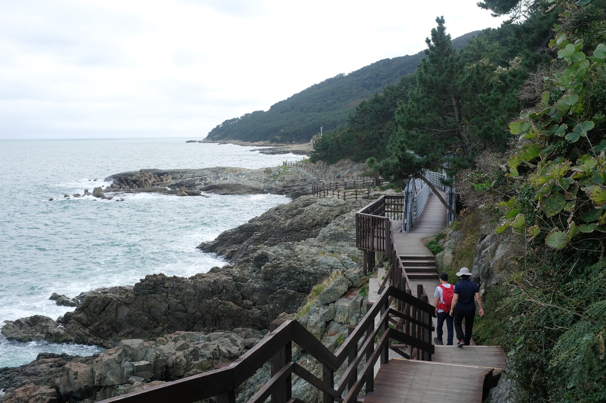 Busan 19 (9)