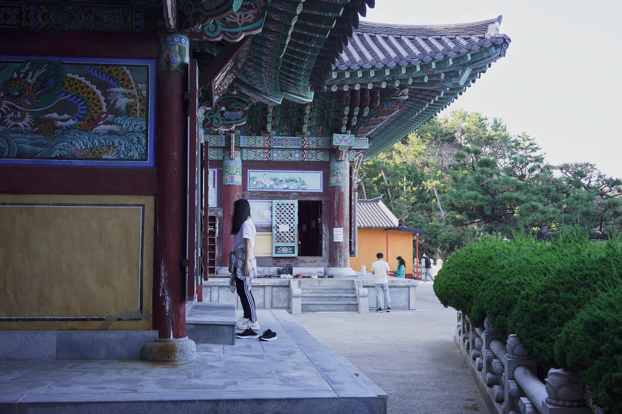 Busan 20 (17)