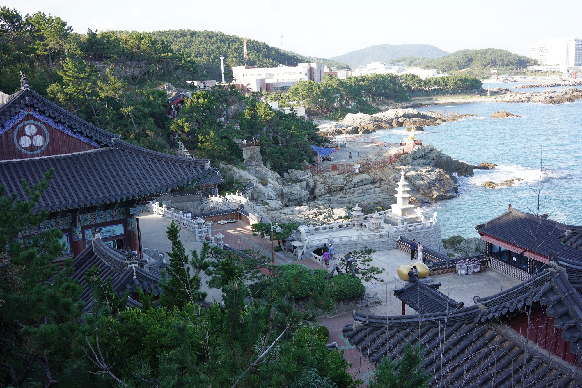 Busan 20 (18)