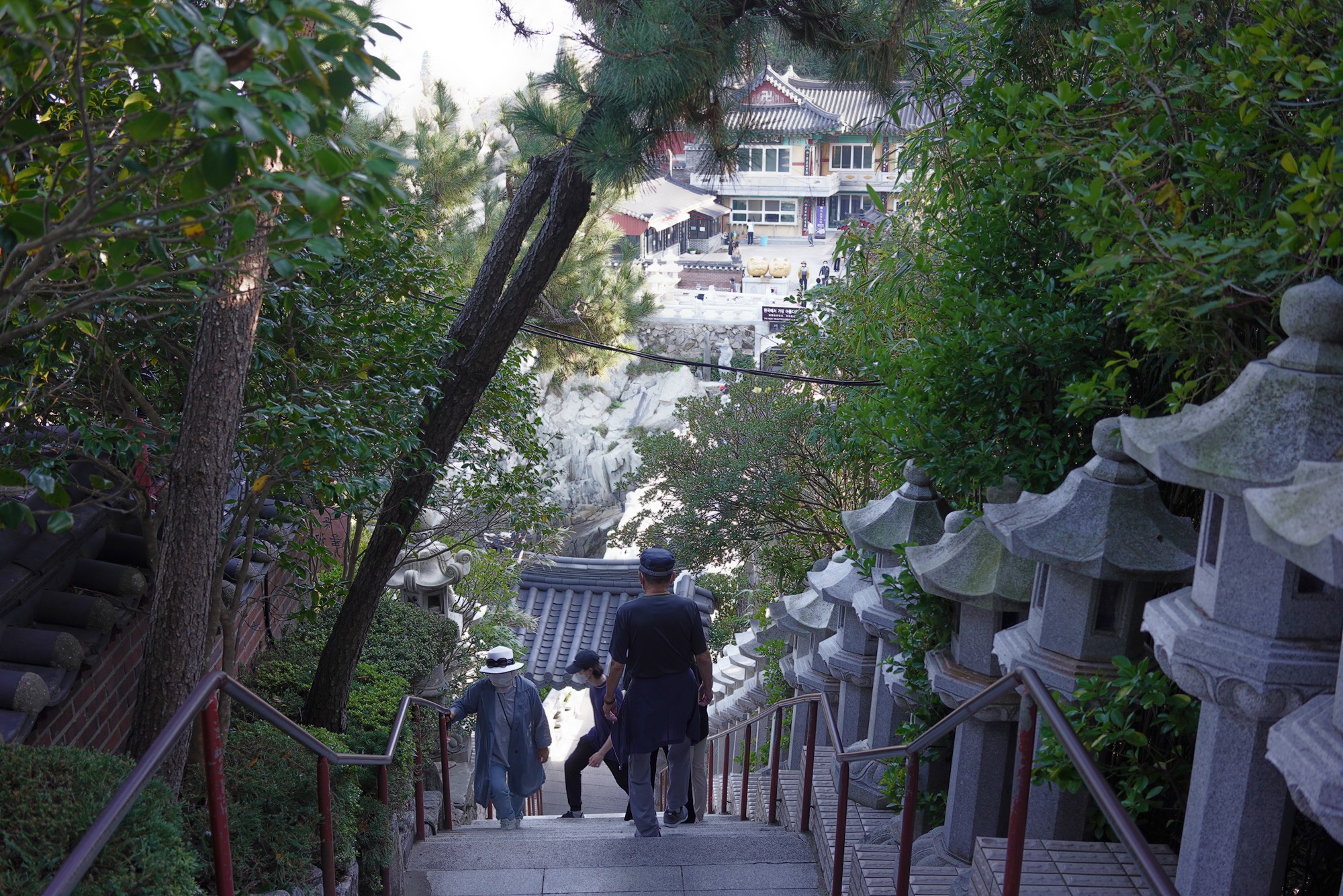 Busan 20 (6)