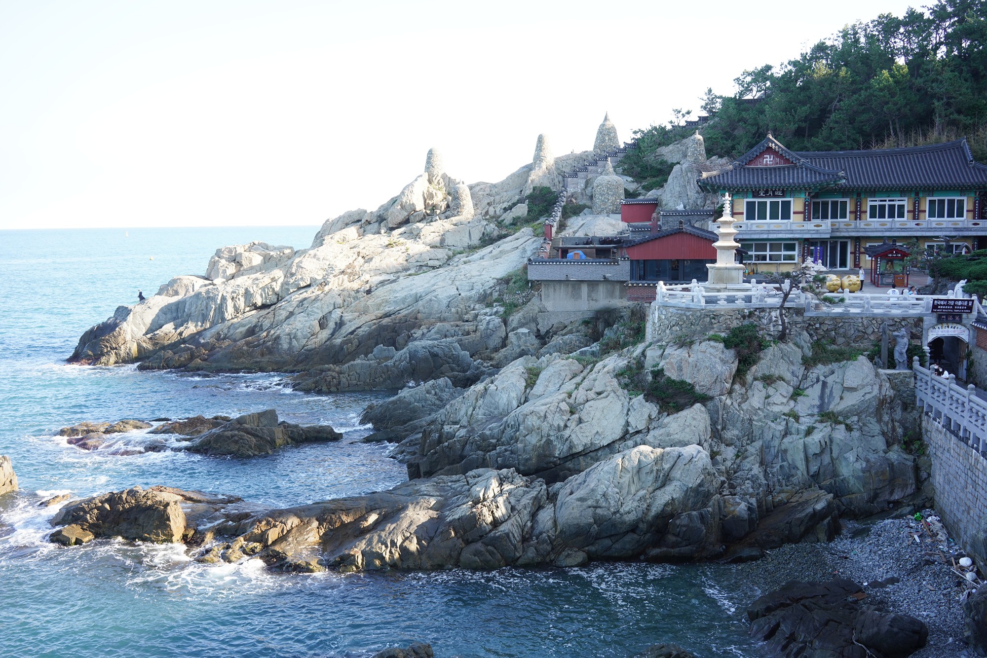 Busan 20 (7)