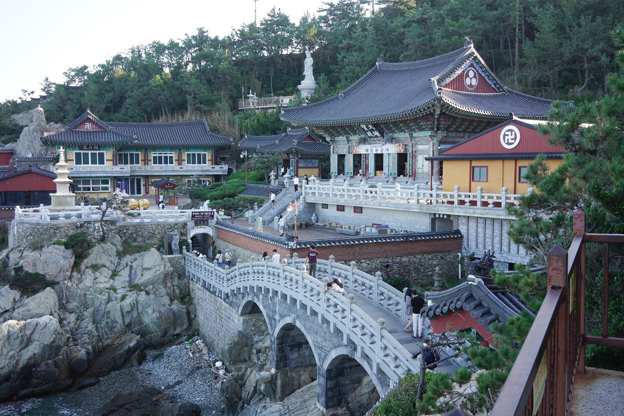Busan 20 (8)