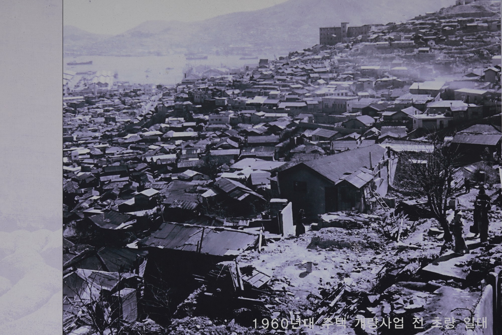 Busan 5 (14)
