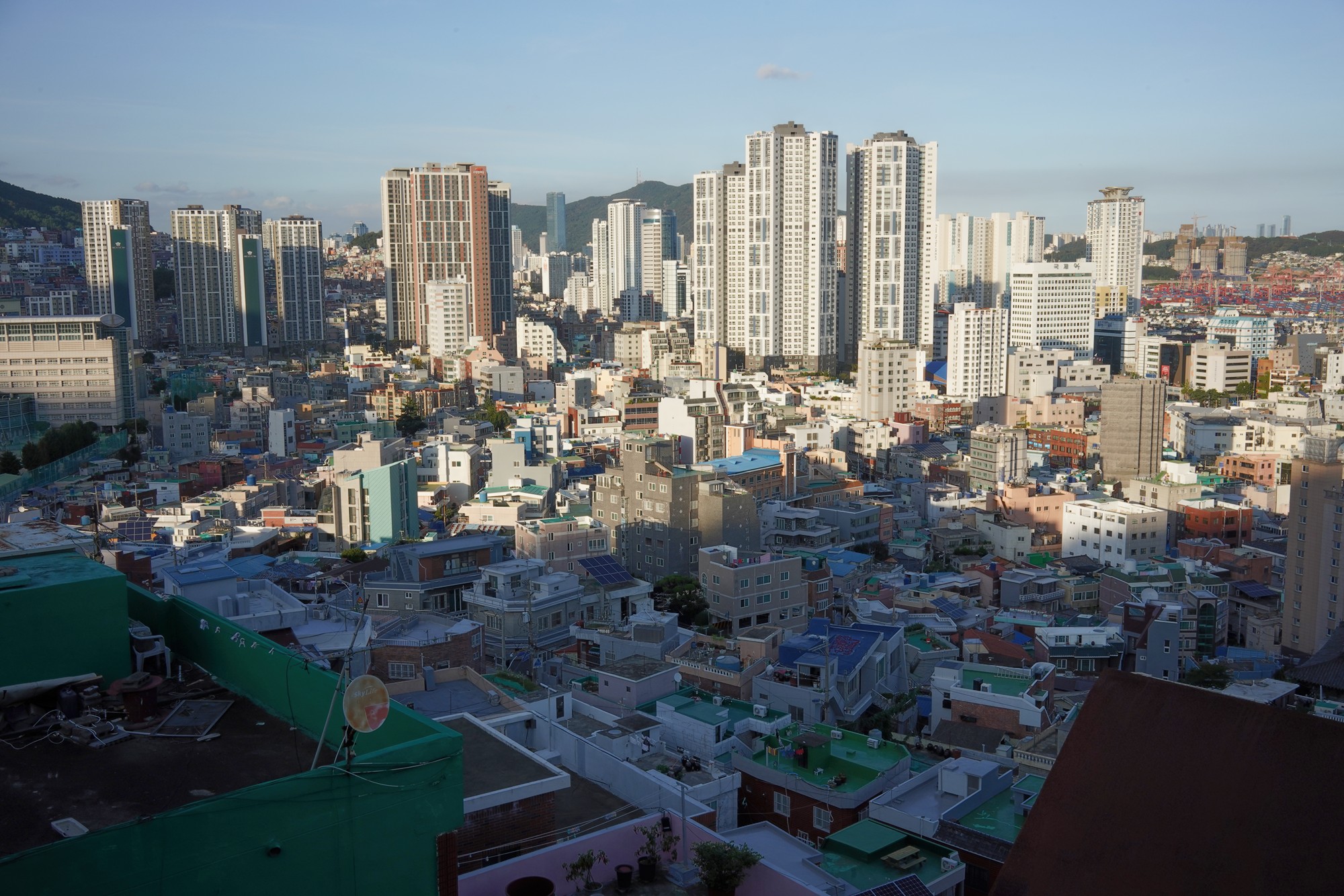 Busan 5 (21)