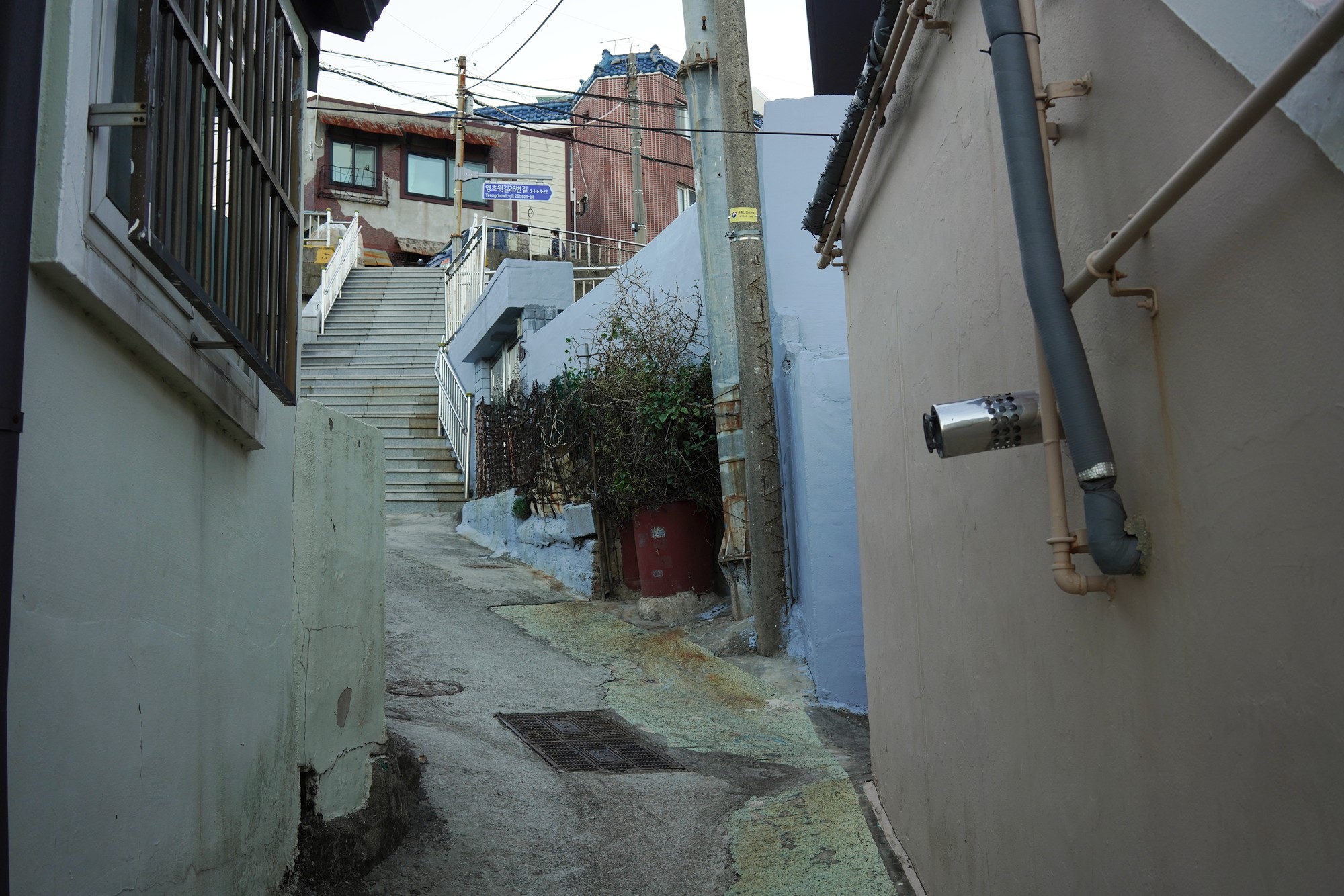 Busan 5 (30)