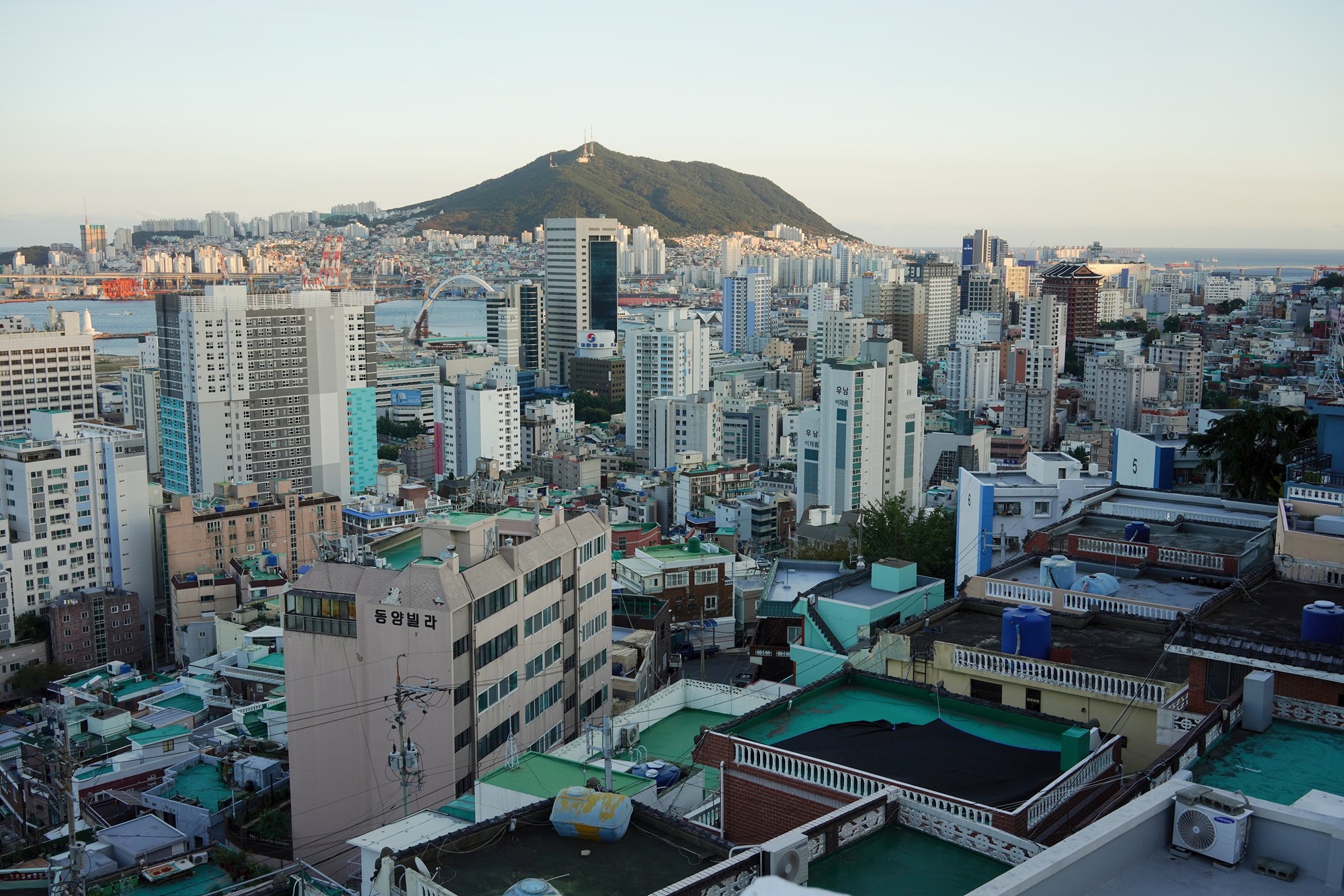 Busan 5 (34)