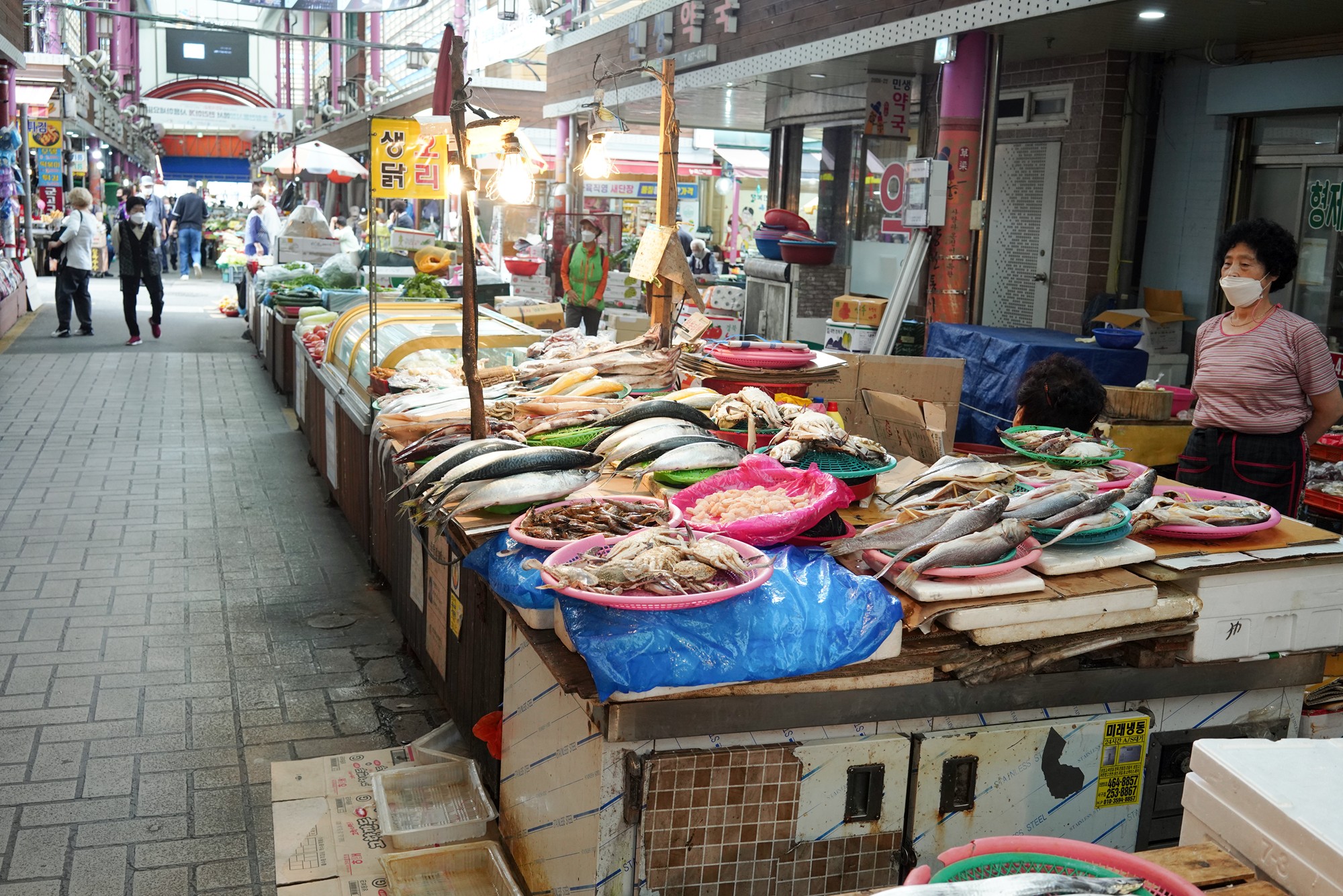 Busan 5 (6)