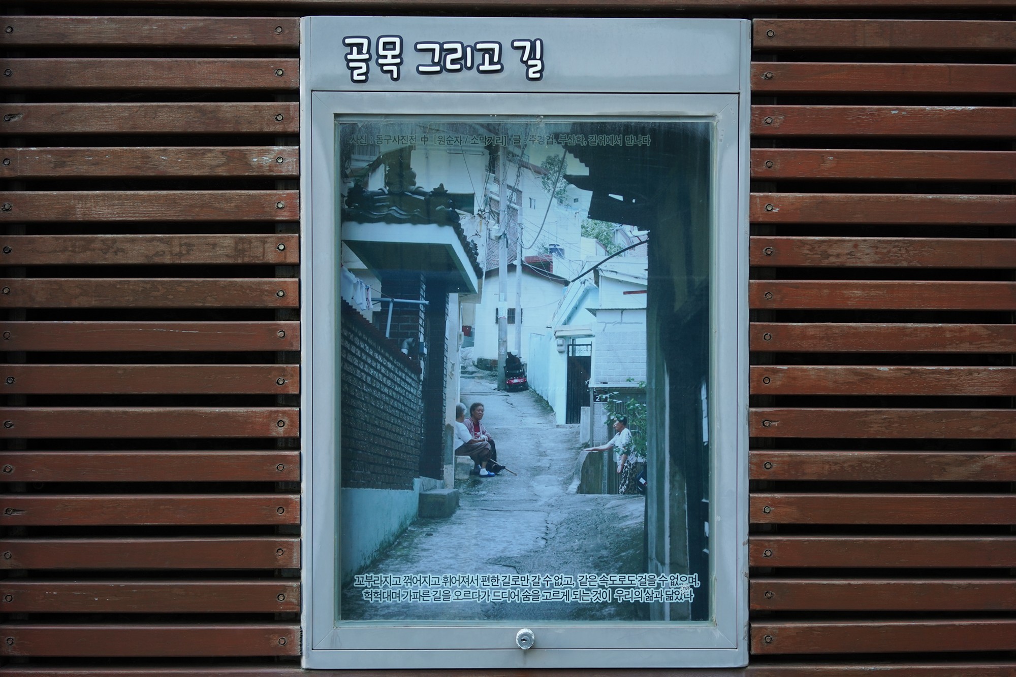 Busan 5 (9)