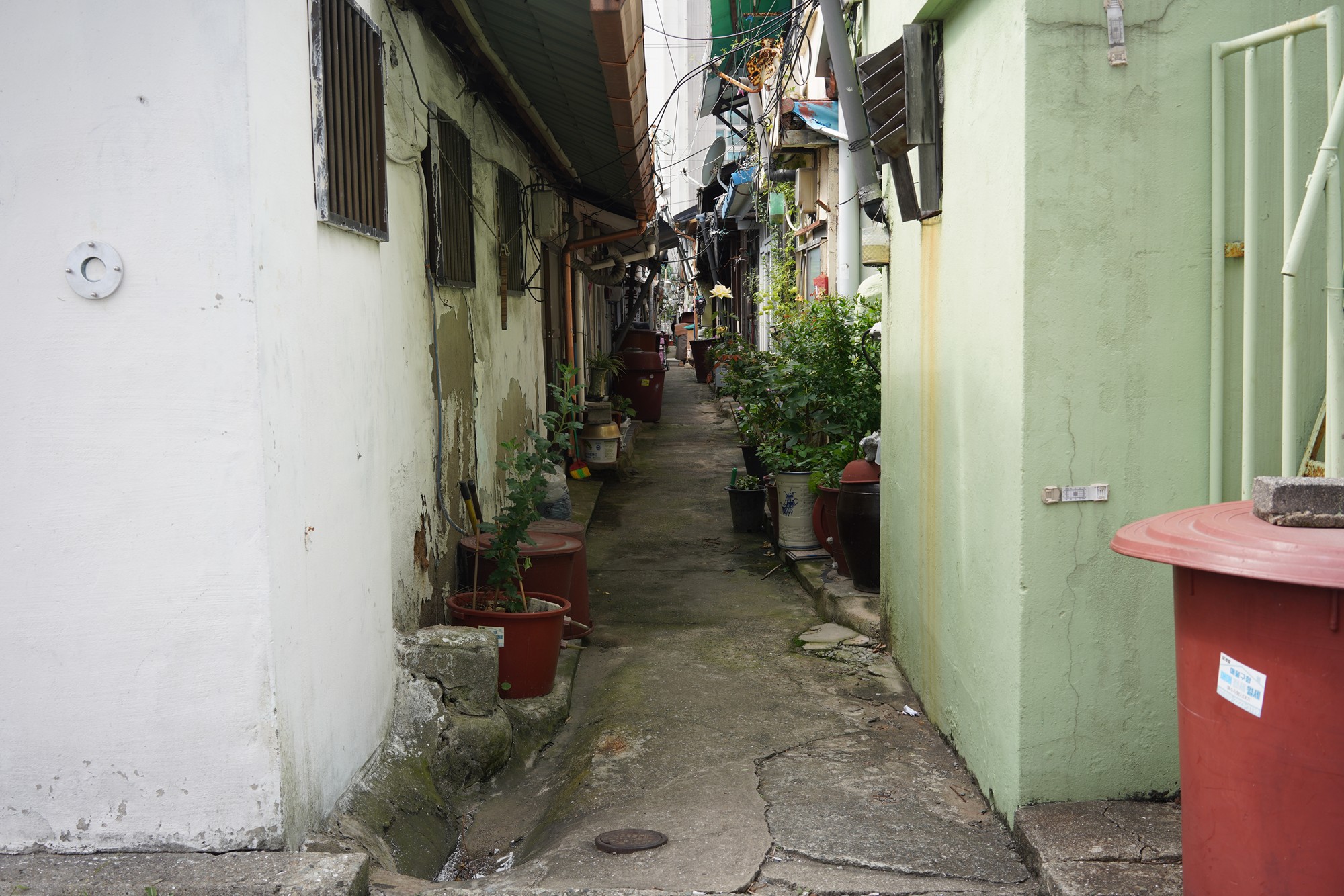Busan 8 (13)