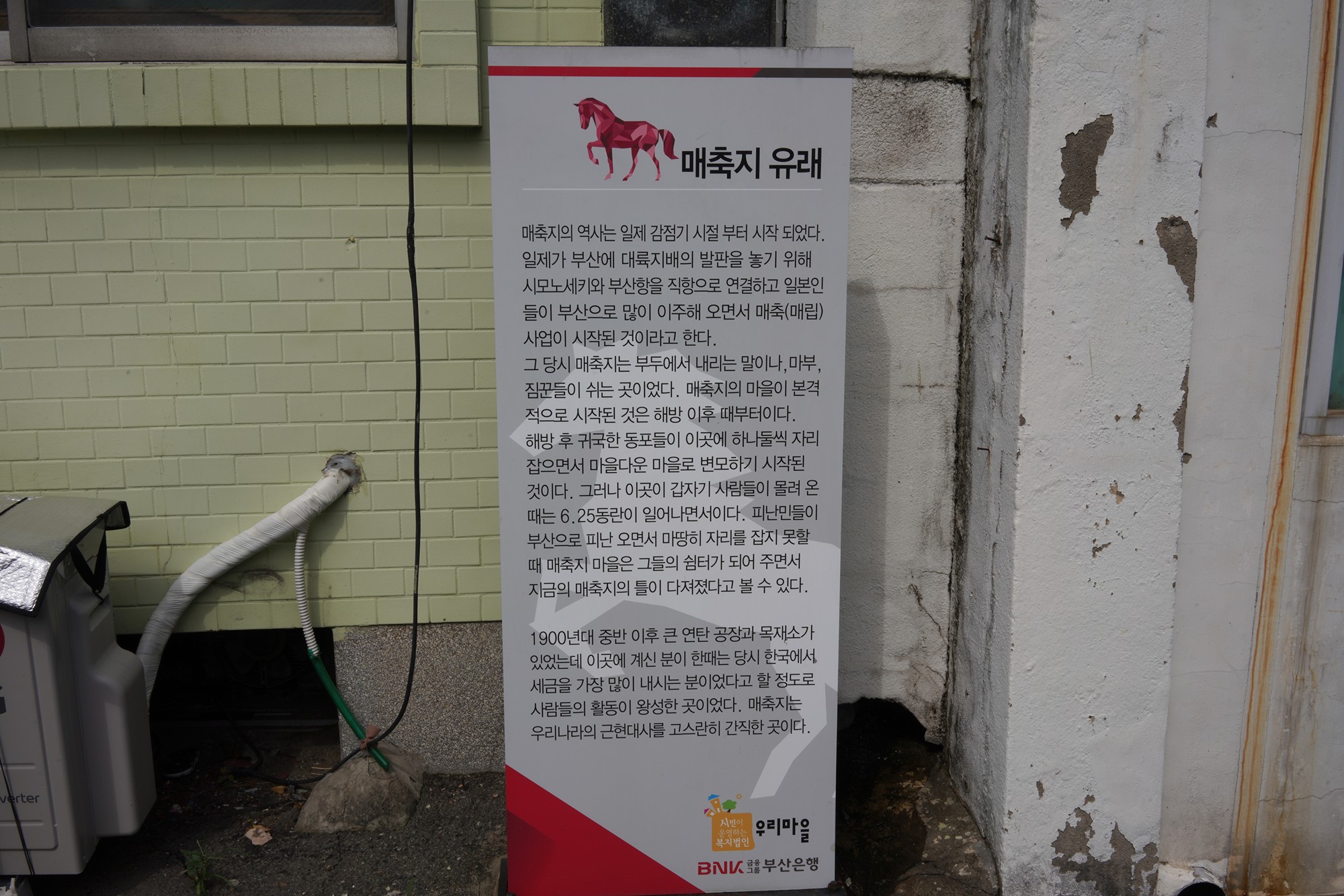 Busan 8 (7)
