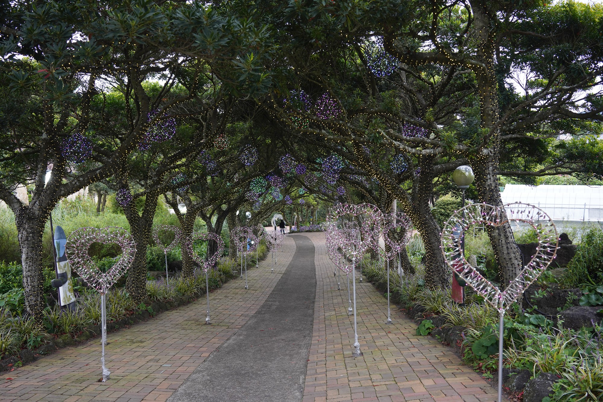 Jeju 4 (106)