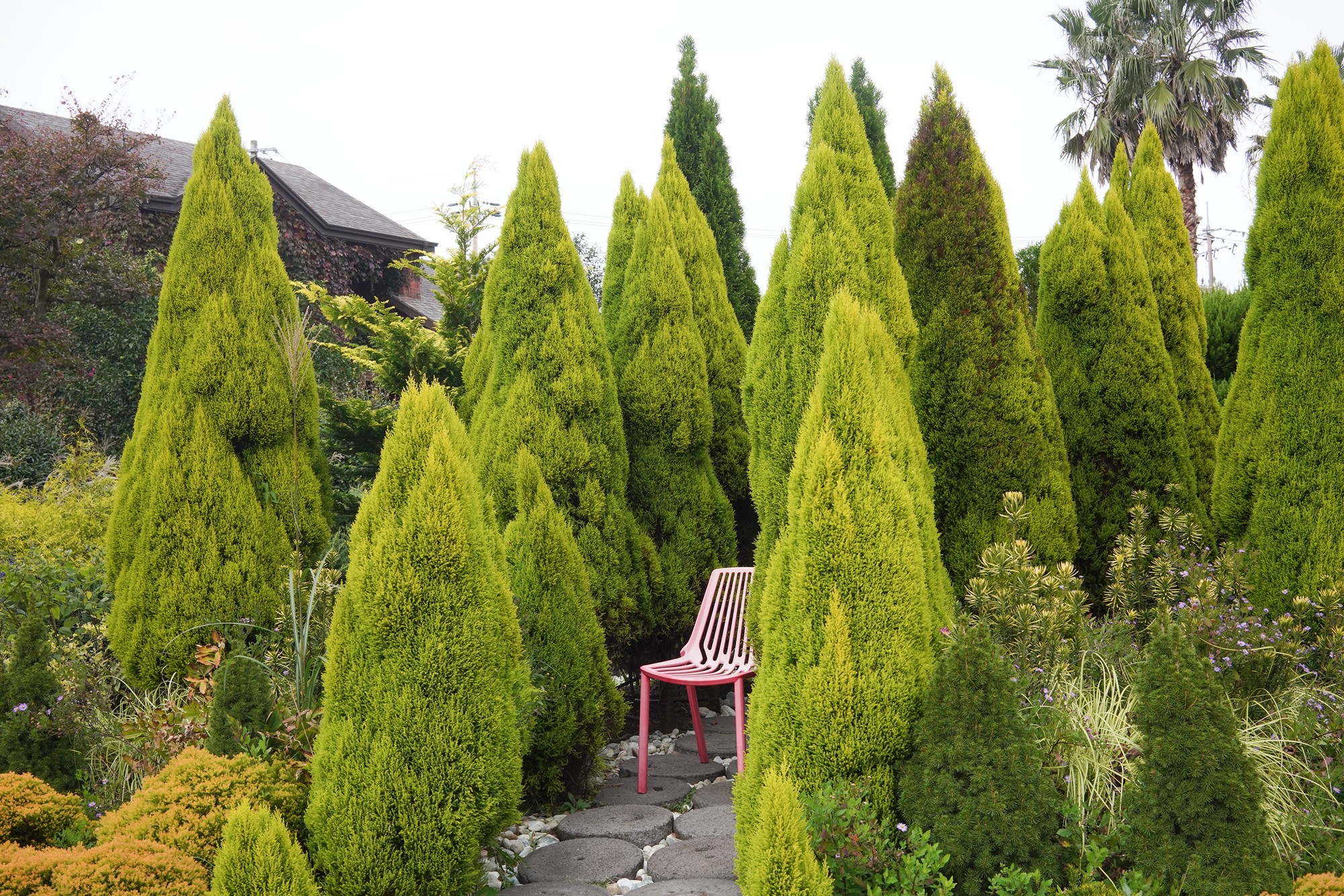 Jeju 4 (81)