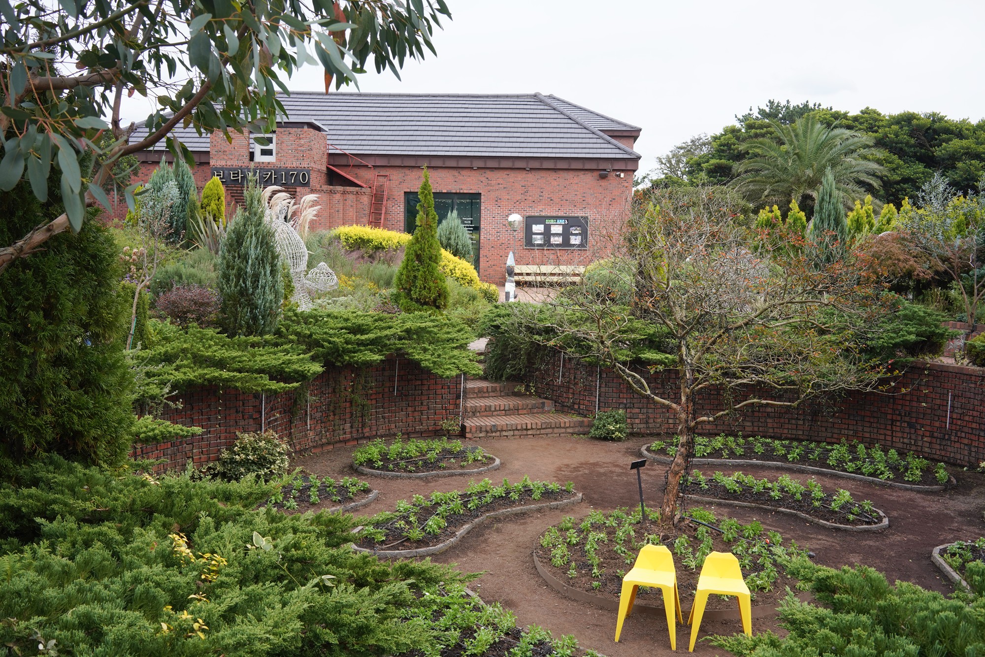 Jeju 4 (83)