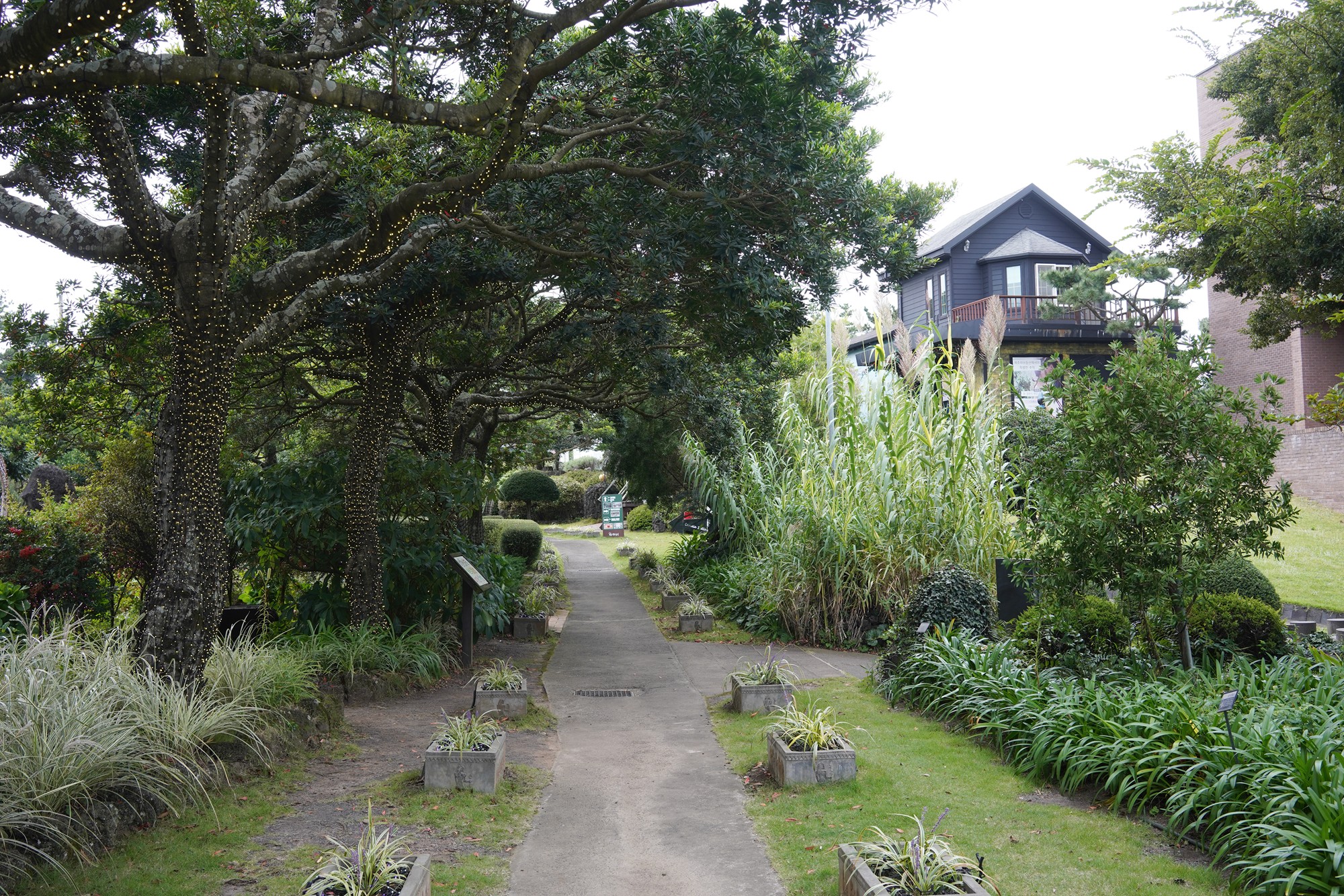 Jeju 4 (88)