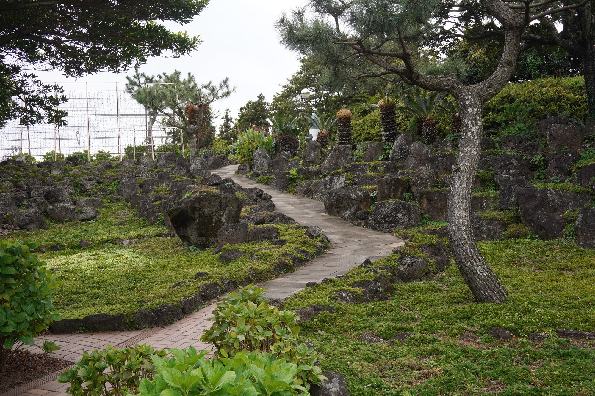 Jeju 4 (93)