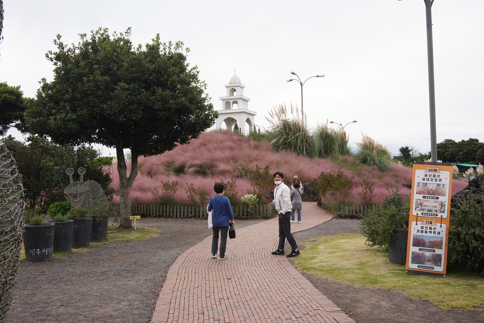 Jeju 4 (97)
