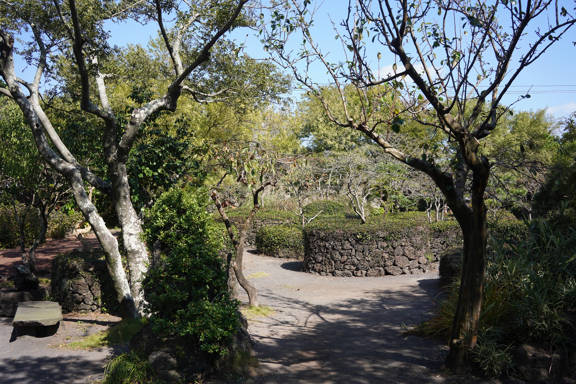 Jeju 5 (28)
