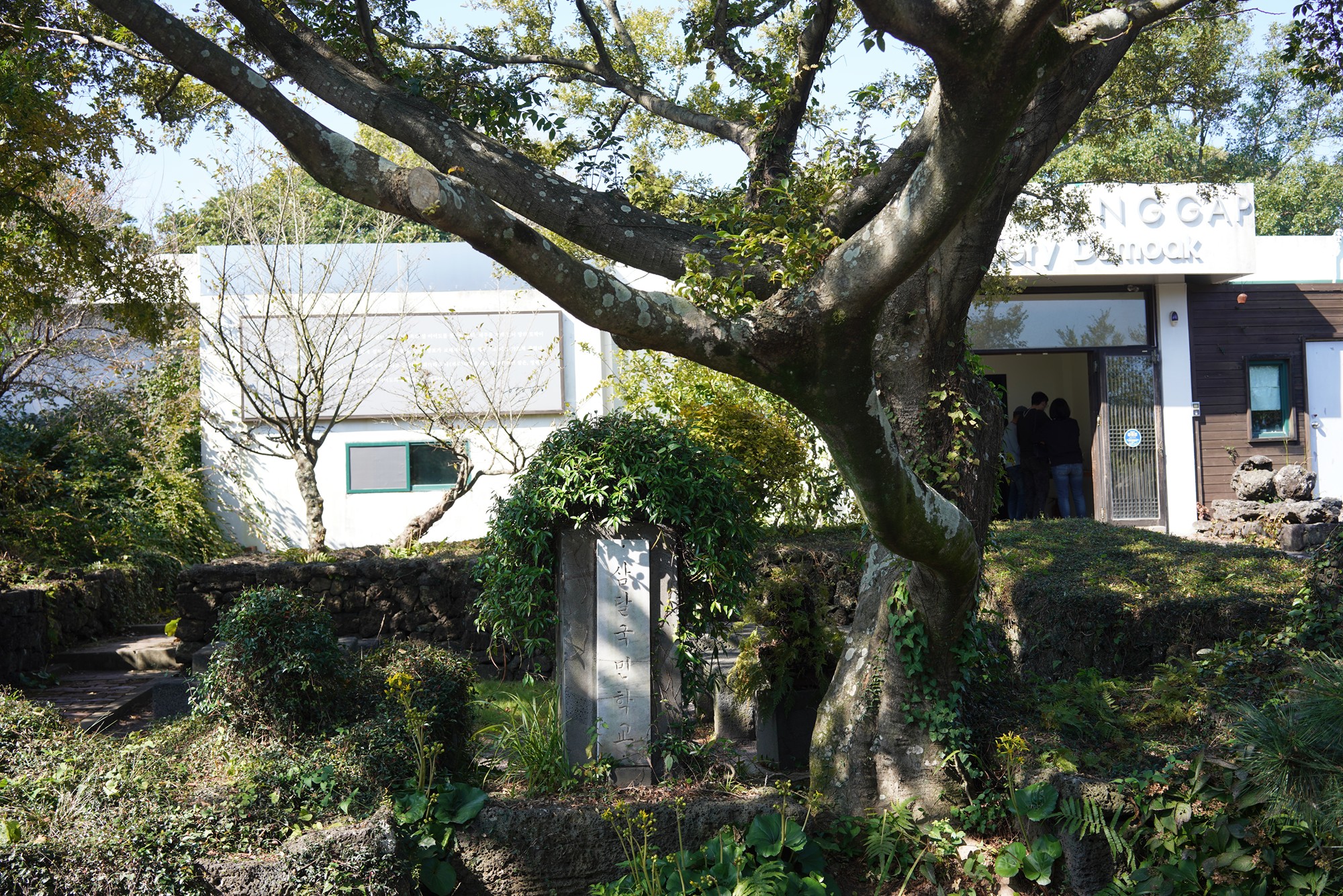 Jeju 5 (29)