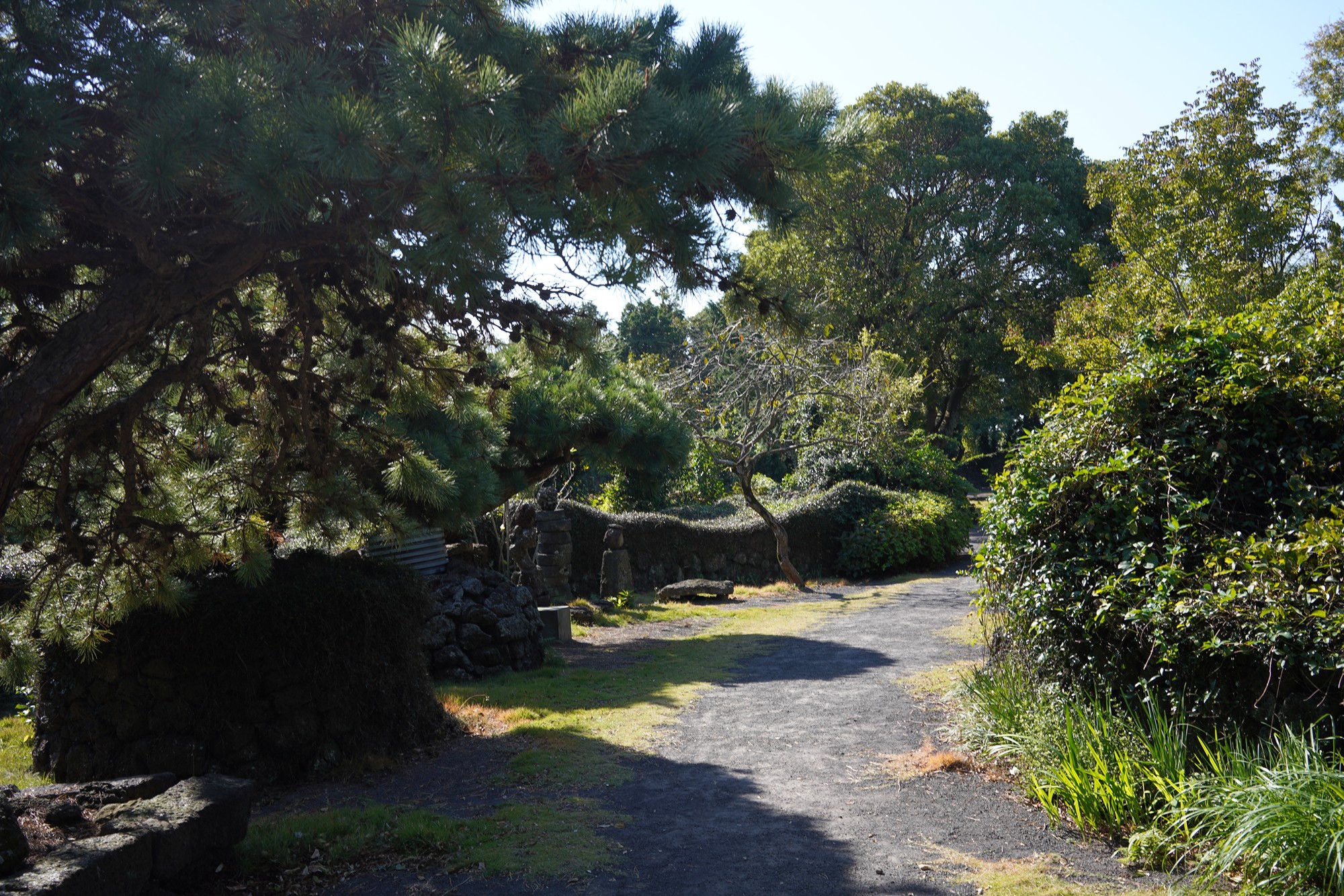 Jeju 5 (5)