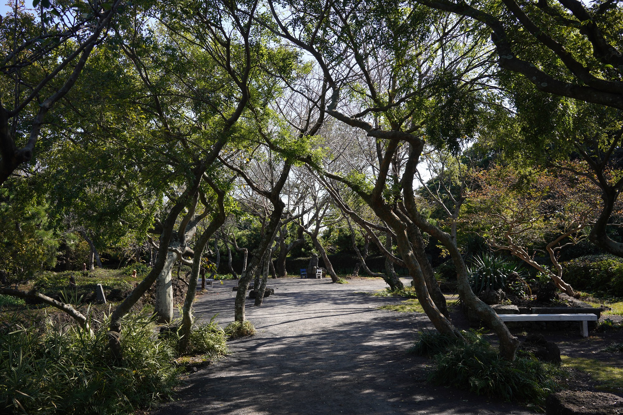 Jeju 5 (6)