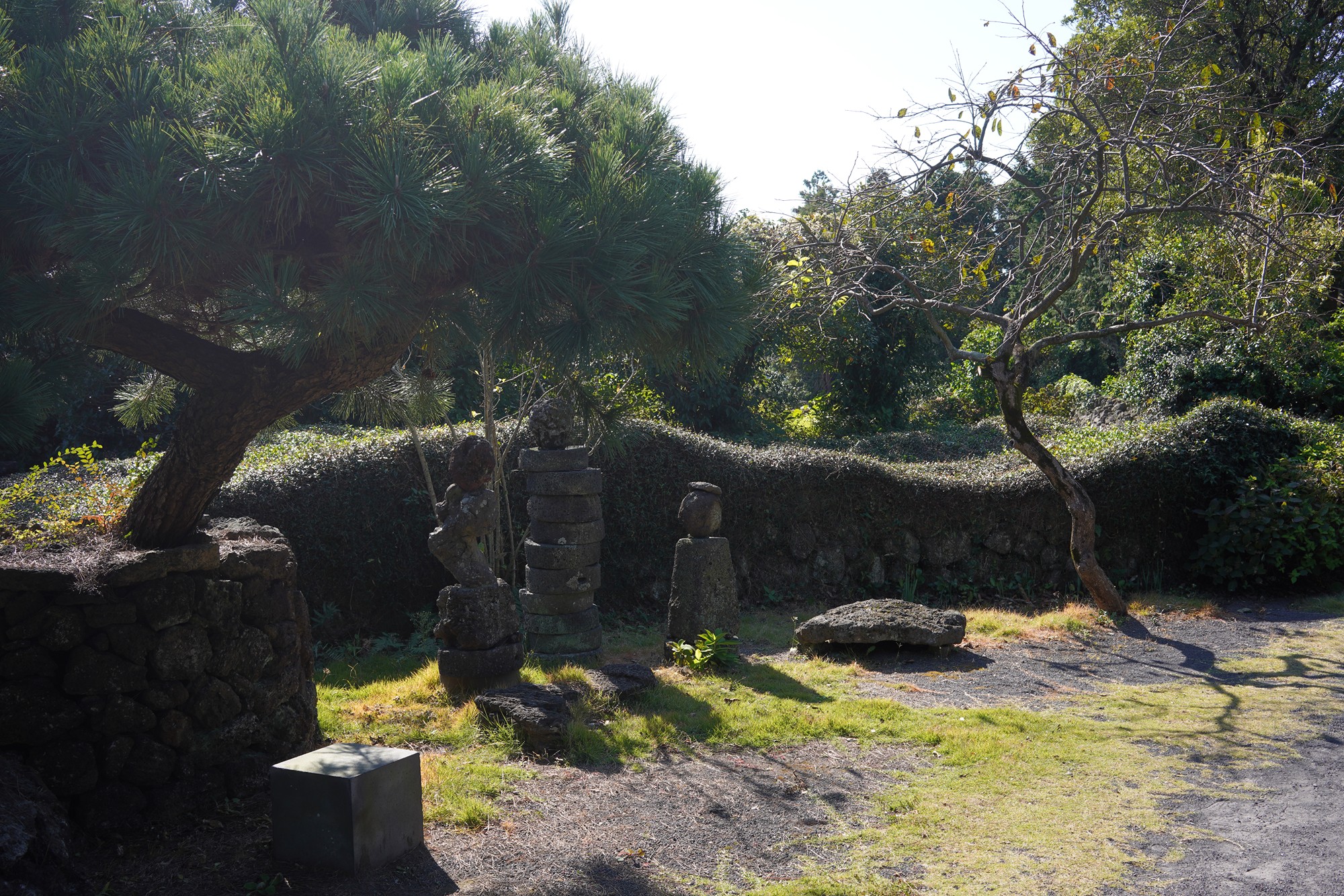 Jeju 5 (7)
