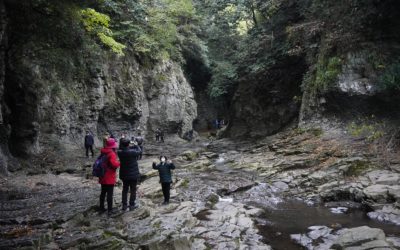 Jeju-do Andeok Valley and Baksugijeong Cliff, South Korea