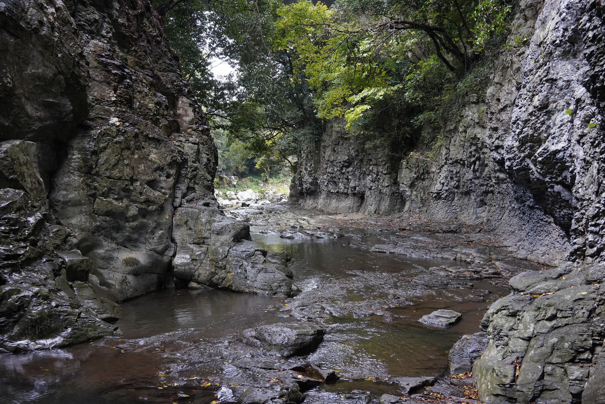 Jeju 15 (14)