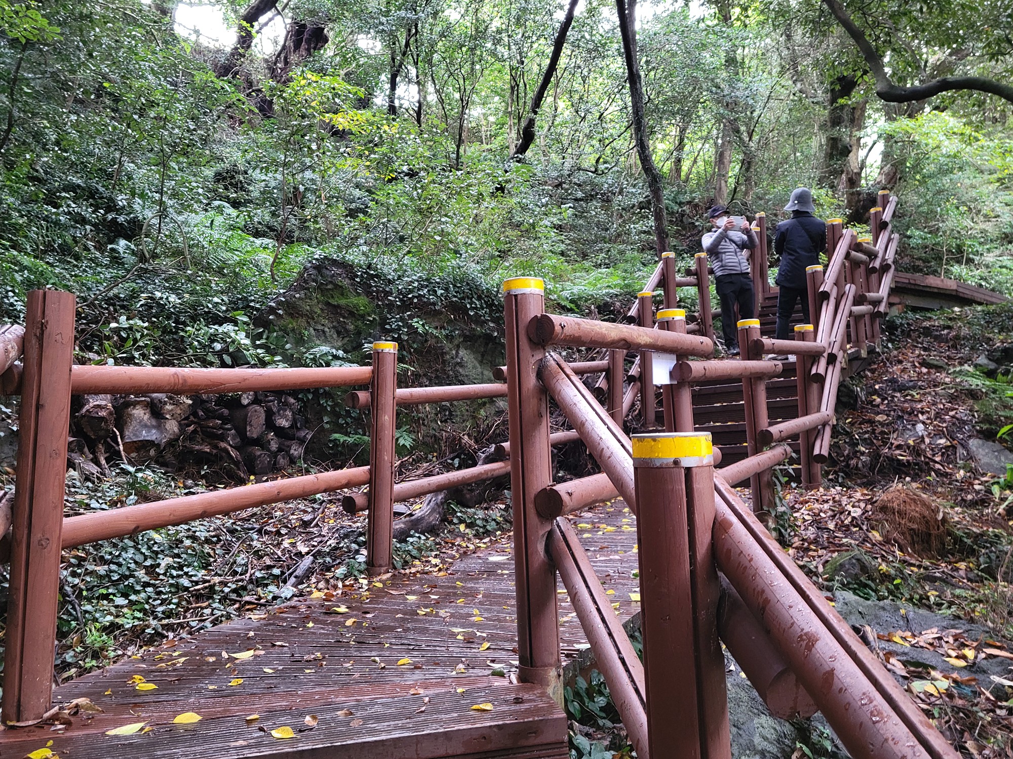 Jeju 15 (15)