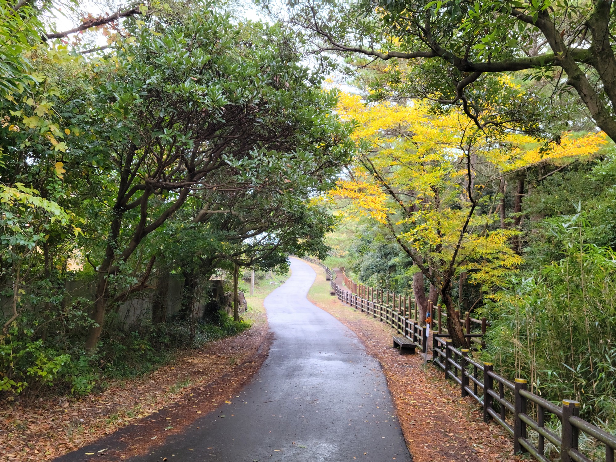 Jeju 15 (16)