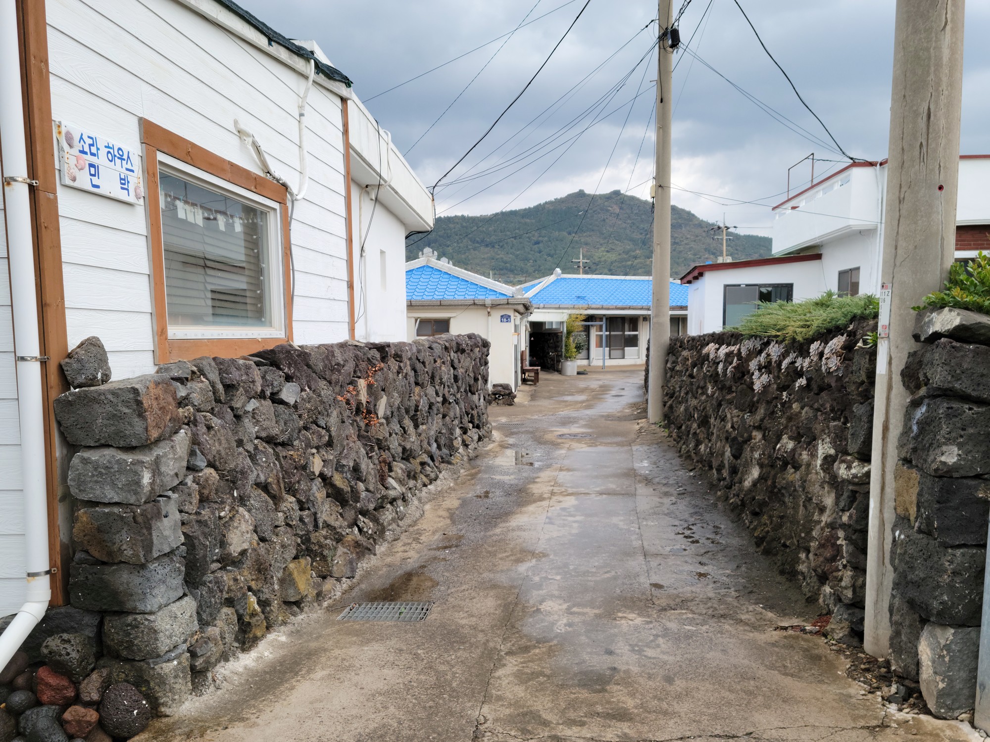 Jeju 15 (18)
