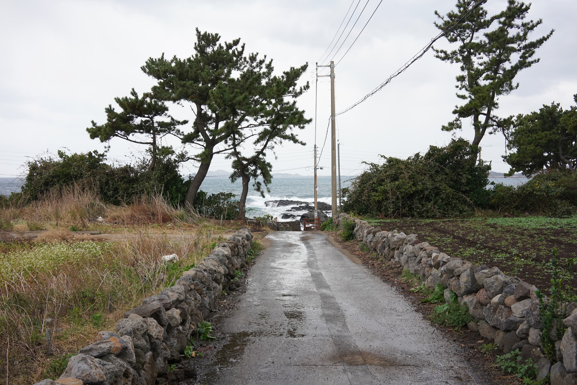Jeju 15 (21)